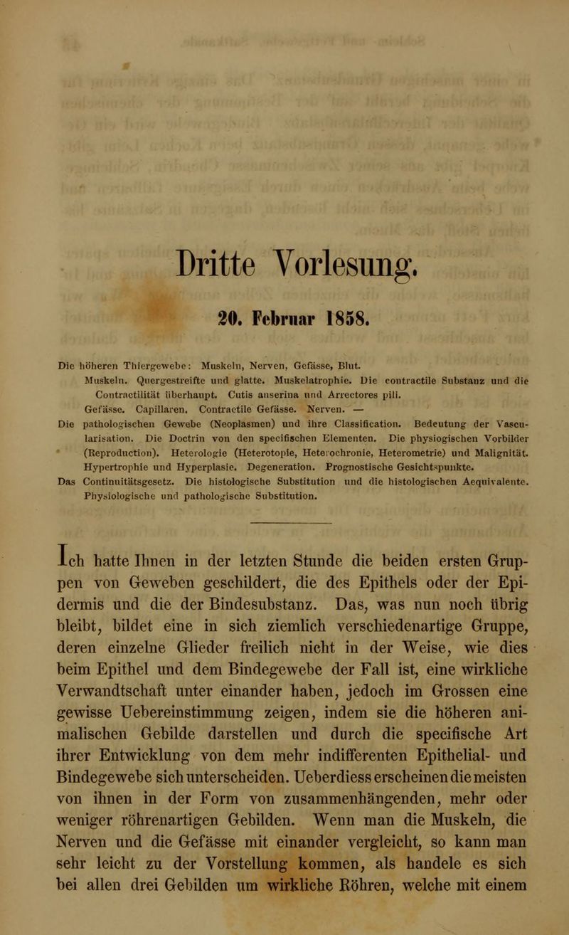Dritte Vorlesung. 20. Februar 1858. Die höheren Thiergewebe: Muskeln, Nerven, Gefässe, Blut. Muskeln. Quergestreifte und glatte. Muskelatrophie. Die eontractile Substanz und die Contractilitiit überhaupt. Cutis auserina und Arrectores pili. Gefässe. Capillaren. Contractile Gefässe. Nei'ven. — Die pathologischen Gewebe (Neoplasmen) und ihre Classification. Bedeutung der Vascu- larieatioB. Die Doctrin von den speeifischen Elementen. Die physiogischen Vorbilder (Rcproduction). Heterologie (Heterotopie, Hete;ochronie, Heterometrie) und Malignität. Hypertrophie und Hyperplasie. Degeneration. Prognostische Gesichtspunkte. Das Continuitätsgesetz. Die histologische Substitution und die histologischen Aequivalente. Physiologische und pathologische Substitution. Ich hatte Ihnen in der letzten Stunde die beiden ersten Grup- pen von Geweben geschildert, die des Epithels oder der Epi- dermis und die der Bindesubstanz. Das, was nun noch übrig bleibt, bildet eine in sich ziemlich verschiedenartige Gruppe, deren einzelne Glieder freilich nicht in der Weise, wie dies beim Epithel und dem Bindegewebe der Fall ist, eine wirkliche Verwandtschaft unter einander haben, jedoch im Grossen eine gewisse Uebereinstimmung zeigen, indem sie die höheren ani- malischen Gebilde darstellen und durch die speeifische Art ihrer Entwicklung von dem mehr indifferenten Epithelial- und Bindegewebe sich unterscheiden. Ueberdiess erscheinen die meisten von ihnen in der Form von zusammenhängenden, mehr oder weniger röhrenartigen Gebilden. Wenn man die Muskeln, die Nerven und die Gefässe mit einander vergleicht, so kann man sehr leicht zu der Vorstellung kommen, als handele es sich bei allen drei Gebilden um wirkliche Röhren, welche mit einem