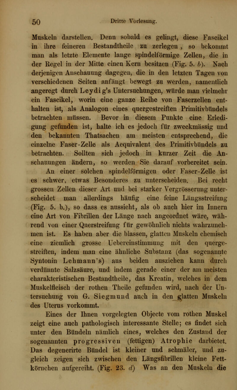 Muskeln darstellen. Denn sobald es gelingt, diese Fascikel in ihre feineren Bestandteile zu zerlegen , so bekommt man als letzte Elemente lange spindelförmige Zellen, die in der Regel in der Mitte einen Kern besitzen (Fig. 5. b). Nach derjenigen Anschauung dagegen, die in den letzten Tagen von verschiedenen Seiten anfängt bewegt zu werden, namentlich angeregt durch Leydig's Untersuchungen, würde man vielmehr ein Fascikel, worin eine ganze Reihe von Faserzellen ent- halten ist, als Analogon eines quergestreiften Primitivbündels betrachten müssen. Bevor in diesem Punkte eine Erledi- gung gefunden ist, halte ich es jedoch für zweckmässig und den bekannten Thatsachen am meisten entsprechend, die einzelne Faser-Zelle als Aequivalent des Primitivbündels zu betrachten. Sollten sich jedoch in kurzer Zeit die An- schauungen ändern, so werden Sie darauf vorbereitet sein. An einer solchen spindelförmigen oder Faser-Zelle ist es schwer, etwas Besonderes zu unterscheiden. Bei recht grossen Zellen dieser Art und bei starker Vergrösserung unter- scheidet man allerdings häufig eine feine Längsstreifung (Fig;. 5. b.), so dass es aussieht, als ob auch hier im Innern eine Art von Fibrillen der Länge nach angeordnet wäre, wäh- rend von einer Querstreifung für gewöhnlich nichts wahrzuneh- men ist. Es haben aber die blassen, glatten Muskeln chemisch eine ziemlich grosse Uebereinstimmung mit den querge- streiften, indem man eine ähnliche Substanz (das sogenannte Syntonin Lehmann's) aus beiden ausziehen kann durch verdünnte Salzsäure, und indem gerade einer der am meisten charakteristischen Bestandteile, das Kreatin, welches in dem Muskelfleisch der rothen Theile gefunden wird, nach der Un- tersuchung von G. Siegmund auch in den glatten Muskeln des Uterus vorkommt. Eines der Ihnen vorgelegten Objecte vom rothen Muskel zeigt eine auch pathologisch interessante Stelle; es findet sich unter den Bündeln nämlich eines, welches den Zustand der sogenannten progressiven (fettigen) Atrophie darbietet. Das degenerirte Bündel ist kleiner und schmäler, und zu- gleich zeigen sich zwischen den Längsfibrillen kleine Fett- körnchen aufgereiht. (Fig. 23. d) Was an den Muskeln die