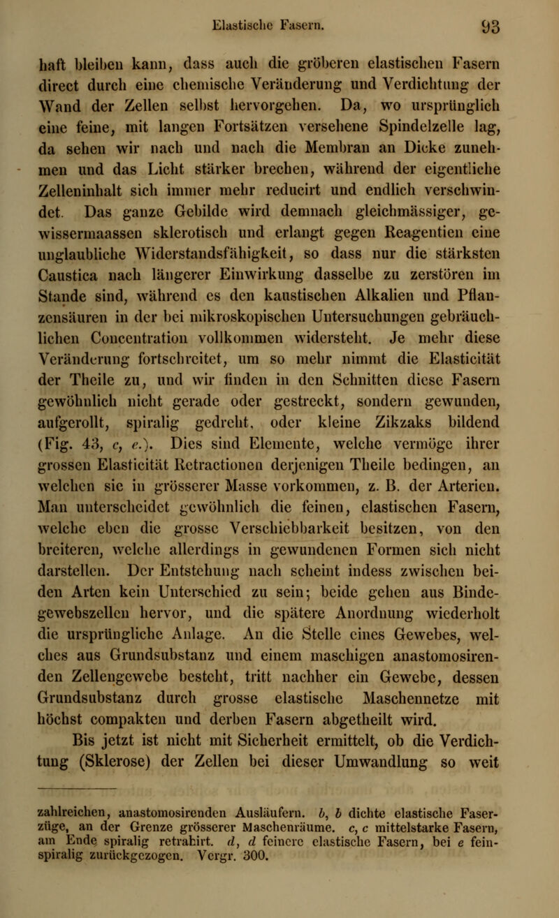 haf't bleiben kann, dass auch die gröberen elastischen Fasern direct durch eine chemische Veränderung und Verdichtung der Wand der Zellen selbst hervorgehen. Da, wo ursprünglich eine feine, mit langen Fortsätzen versehene Spindelzelle lag, da sehen wir nach und nach die Membran an Dicke zuneh- men und das Licht stärker brechen, während der eigentliche Zelleninhalt sich immer mehr reducirt und endlich verschwin- det. Das ganze Gebilde wird demnach gleichmässiger, gc- wissermaassen sklerotisch und erlangt gegen Reagentien eine unglaubliche Widerstandsfähigkeit, so dass nur die stärksten Caustica nach längerer Einwirkung dasselbe zu zerstören im Stande sind, während es den kaustischen Alkalien und Pflan- zensäuren in der bei mikroskopischen Untersuchungen gebräuch- lichen Concentration vollkommen widersteht. Je mehr diese Veränderung fortschreitet, um so mehr nimmt die Elasticität der Theile zu, und wir linden in den Schnitten diese Fasern gewöhnlich nicht gerade oder gestreckt, sondern gewunden, aufgerollt, spiralig gedreht, oder kleine Zikzaks bildend (Fig. 43, c, e.). Dies sind Elemente, welche vermöge ihrer grossen Elasticität Retractioncn derjenigen Theile bedingen, an welchen sie in grösserer Masse vorkommen, z. B. der Arterien. Man unterscheidet gewöhnlich die feinen, elastischen Fasern, welche eben die grosse Verschiebbarkeit besitzen, von den breiteren, welche allerdings in gewundenen Formen sich nicht darstellen. Der Entstehung nach scheint indess zwischen bei- den Arten kein Unterschied zu sein; beide gehen aus Binde- gewebszellen hervor, und die spätere Anordnung wiederholt die ursprüngliche Anlage. An die Stelle eines Gewebes, wel- ches aus Grundsubstanz und einem maschigen anastomosiren- den Zellengewebe besteht, tritt nachher ein Gewebe, dessen Grundsubstanz durch grosse elastische Maschennetze mit höchst compakten und derben Fasern abgetheilt wird. Bis jetzt ist nicht mit Sicherheit ermittelt, ob die Verdich- tung (Sklerose) der Zellen bei dieser Umwandlung so weit zahlreichen, anastomosirenden Ausläufern, b, b dichte elastische Faser- züge, an der Grenze grösserer Maschenräume, c, c mittelstarke Fasern, am Ende spiralig retrahirt. d, d feinere elastische Fasern, bei e fein- spiralig zurückgezogen. Vcrgr. 300.