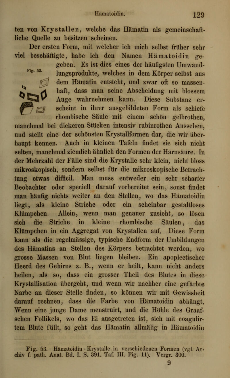 Hämatoidin. ][29 ten von Krystallen, welche das Hämatin als gemeinschaft- liche Quelle zu besitzen scheinen. Der ersten Form, mit welcher ich mich selbst früher sehr viel beschäftigte, habe ich den Namen Hämatoidin ge- geben. Es ist dies eines der häufigsten Umwand- lungsprodukte, welches in dem Körper selbst aus /g5/ dem Hämatin entsteht, und zwar oft so massen- *. ^1 haft, dass man seine Abscheidung mit blossem ^^3V* Auge wahrnehmen kann. Diese Substanz er- ry g scheint in ihrer ausgebildeten Foinn als schiefe rhombische Säule mit einem schön gelbrothen, manchmal bei dickeren Stücken intensiv rubinrothen Aussehen, und stellt eine der schönsten Krystallformen dar, die wir über- haupt kennen. Auch in kleinen Tafeln findet sie sich nicht selten, manchmal ziemlich ähnlich den Formen der Harnsäure. In der Mehrzahl der Fälle sind die Krystalle sehr klein, nicht bloss mikroskopisch, sondern selbst für die mikroskopische Betrach- tung etwas difficil. Man muss entweder ein sehr scharfer Beobachter oder speciell darauf vorbereitet sein, sonst findet man häufig nichts weiter an den Stellen, wo das Hämatoidin liegt, als kleine Striche oder ein scheinbar gestaltloses Klümpchen. Allein, wenn man genauer zusieht, so lösen sich die Striche in kleine rhombische Säulen, das Klümpchen in ein Aggregat von Krystallen auf. Diese Form kann als die regelmässige, typische Endform der Umbildungen des Hämatins an Stellen des Körpers betrachtet werden, wo grosse Massen von Blut liegen bleiben. Ein apoplectischer Heerd des Gehirns z. B., wenn er heilt, kann nicht anders heilen, als so, dass ein grosser Theil des Blutes in diese Krystallisation übergeht, und wenn wir nachher eine gefärbte Narbe an dieser Stelle finden, so können wir mit Gewissheit darauf rechnen, dass die Farbe von Hämatoidin abhängt, Wenn eine junge Dame menstruirt, und die Höhle des Graaf- schen Follikels, wo das Ei ausgetreten ist, sich mit coagulir- tem Blute füllt, so geht das Hämatin allmälig in Hämatoidin Fig. 53. Hämatoidin - Krystalle in verschiedenen Formen (vgl. Ar chiv f. path. Anat. Bd. I. S. 391. Taf. III. Fig. 11). Vergr. 300. 9