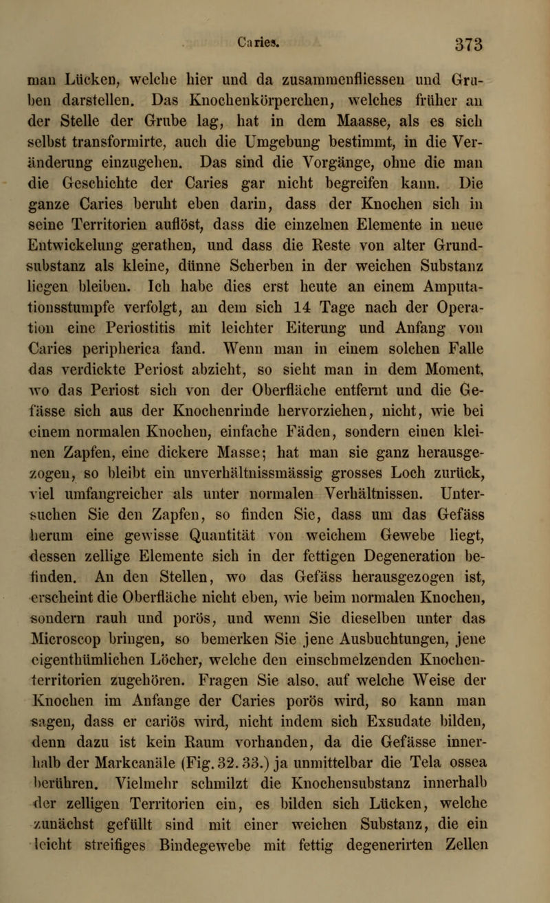 man Lücken, welche hier und da zusammenfliesseu und Gra- ben darstellen. Das Knochenkörperchen, welches früher an der Stelle der Grube lag, hat in dem Maasse, als es sich selbst transformirte, auch die Umgebung bestimmt, in die Ver- änderung einzugehen. Das sind die Vorgänge, ohne die man die Geschichte der Caries gar nicht begreifen kann. Die ganze Caries beruht eben darin, dass der Knochen sich in seine Territorien auflöst, dass die einzelnen Elemente in neue Entwickelung gerathen, und dass die Reste von alter Grund- substanz als kleine, dünne Scherben in der weichen Substanz liegen bleiben. Ich habe dies erst heute an einem Amputa- tion sstumpfe verfolgt, an dein sich 14 Tage nach der Opera- tion eine Periostitis mit leichter Eiterung und Anfang von Caries peripherica fand. Wenn man in einem solchen Falle das verdickte Periost abzieht, so sieht man in dem Moment, wo das Periost sich von der Oberfläche entfernt und die Ge- lasse sich aus der Knochenrinde hervorziehen, nicht, wie bei einem normalen Knochen, einfache Fäden, sondern einen klei- nen Zapfen, eine dickere Masse; hat man sie ganz herausge- zogen, so bleibt ein unverhältnissmässig grosses Loch zurück, viel umfangreicher als unter normalen Verhältnissen. Unter- suchen Sie den Zapfen, so finden Sie, dass um das Gefäss herum eine gewisse Quantität von weichem Gewebe liegt, dessen zellige Elemente sich in der fettigen Degeneration be- finden. An den Stellen, wo das Gefäss herausgezogen ist, erscheint die Oberfläche nicht eben, wie beim normalen Knochen, sondern rauh und porös, und wenn Sie dieselben unter das Microscop bringen, so bemerken Sie jene Ausbuchtungen, jene cigenthümlichen Löcher, welche den einschmelzenden Knochen- territorien zugehören. Fragen Sie also, auf welche Weise der Knochen im Anfange der Caries porös wird, so kann man sagen, dass er cariös wird, nicht indem sich Exsudate bilden, denn dazu ist kein Raum vorhanden, da die Gefässe inner- halb der Markcanäle (Fig. 32.33.) ja unmittelbar die Tela ossea berühren. Vielmehr schmilzt die Knochensubstanz innerhalb der zelligen Territorien ein, es bilden sich Lücken, welche zunächst gefüllt sind mit einer weichen Substanz, die ein leicht streifiges Bindegewebe mit fettig degenerirten Zellen