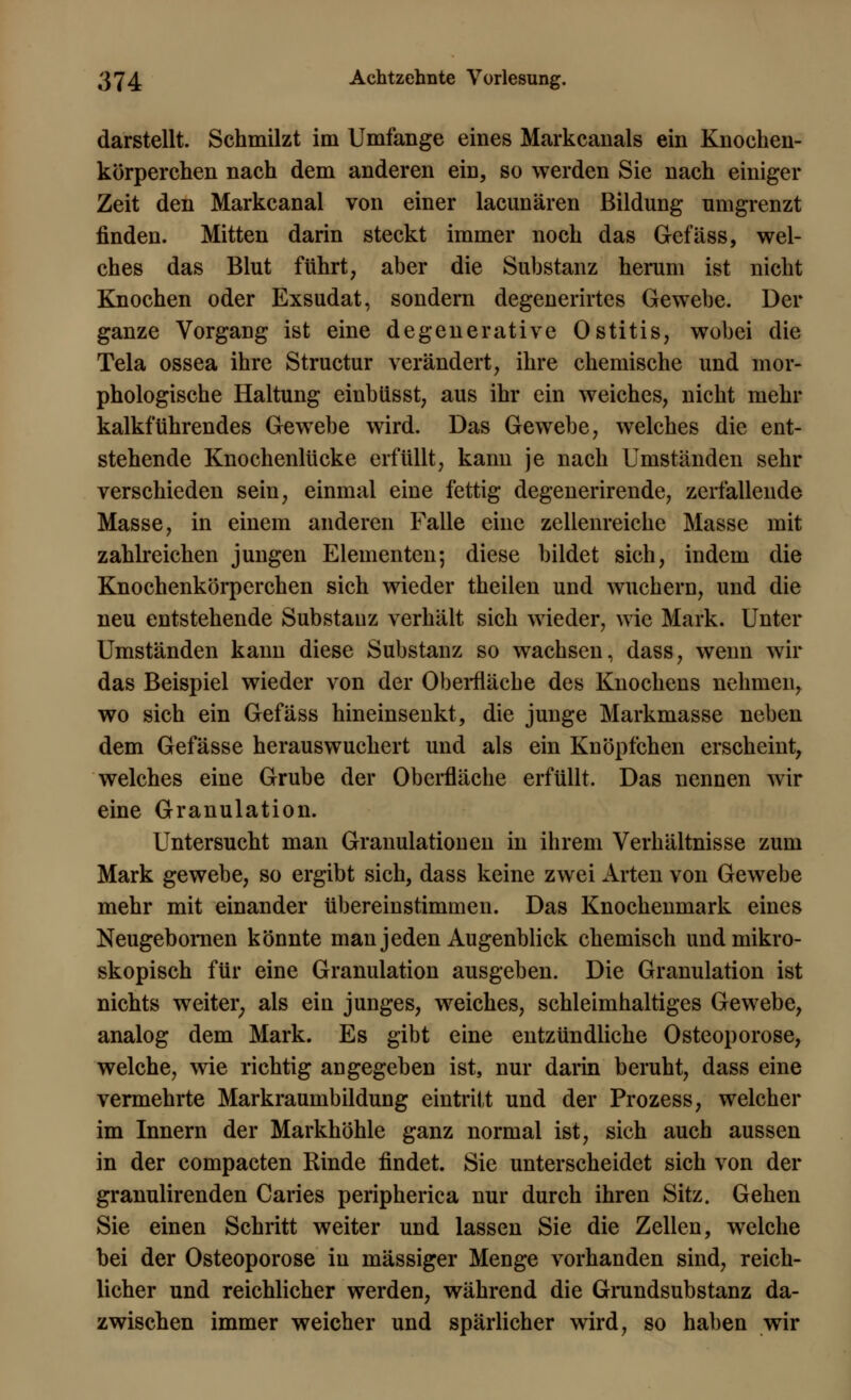 darstellt. Schmilzt im Umfange eines Markcanals ein Knochen- körperchen nach dem anderen ein, so werden Sie nach einiger Zeit den Markcanal von einer lacunären Bildung umgrenzt finden. Mitten darin steckt immer noch das Gefäss, wel- ches das Blut führt, aber die Substanz herum ist nicht Knochen oder Exsudat, sondern degenerirtes Gewebe. Der ganze Vorgang ist eine degenerative Ostitis, wobei die Tela ossea ihre Structur verändert, ihre chemische und mor- phologische Haltung einbüsst, aus ihr ein weiches, nicht mehr kalkftihrendes Gewebe wird. Das Gewebe, welches die ent- stehende Knochenlücke erfüllt, kann je nach Umständen sehr verschieden sein, einmal eine fettig degenerirende, zerfallende Masse, in einem anderen Falle eine zellenreiche Masse mit zahlreichen jungen Elementen; diese bildet sich, indem die Knochenkörperchen sich wieder theilen und wuchern, und die neu entstehende Substanz verhält sich wieder, wie Mark. Unter Umständen kann diese Substanz so wachsen, dass, wenn wir das Beispiel wieder von der Oberfläche des Knochens nehmen, wo sich ein Gefäss hineinsenkt, die junge Markmasse neben dem Gefässe herauswuchert und als ein Knöpfchen erscheint, welches eine Grube der Oberfläche erfüllt. Das nennen wir eine Granulation. Untersucht man Granulationen in ihrem Verhältnisse zum Mark gewebe, so ergibt sich, dass keine zwei Arten von Gewebe mehr mit einander übereinstimmen. Das Knochenmark eines Neugebornen könnte man jeden Augenblick chemisch und mikro- skopisch für eine Granulation ausgeben. Die Granulation ist nichts weiter; als ein junges, weiches, schleimhaltiges Gewebe, analog dem Mark. Es gibt eine entzündliche Osteoporose, welche, wie richtig angegeben ist, nur darin beruht, dass eine vermehrte Markraumbildung eintritt und der Prozess, welcher im Innern der Markhöhle ganz normal ist, sich auch aussen in der compacten Rinde findet. Sie unterscheidet sich von der granulirenden Caries peripherica nur durch ihren Sitz. Gehen Sie einen Schritt weiter und lassen Sie die Zellen, welche bei der Osteoporose in massiger Menge vorhanden sind, reich- licher und reichlicher werden, während die Grundsubstanz da- zwischen immer weicher und spärlicher wird, so haben wir