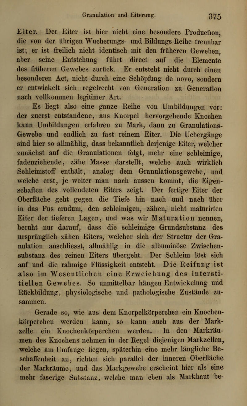 Eiter. Der Eiter ist hier nicht eine besondere Production, die von der übrigen Wucherungs- und Bildungs-Reihe trennbar ist; er ist freilich nicht identisch mit den früheren Geweben, aber seine Entstehung führt direct auf die Elemente des früheren Gewebes zurück. Er entsteht nicht durch einen besonderen Act, nicht durch eine Schöpfung de novo, sondern er entwickelt sich regelrecht von Generation zu Generation nach vollkommen legitimer Art. Es liegt also eine ganze Reihe von Umbildungen vor: der zuerst entstandene, aus Knorpel hervorgehende Knochen kann Umbildungen erfahren zu Mark, dann zu Granulations- Gewebe und endlich zu fast reinem Eiter. Die Uebergänge sind hier so allmählig, dass bekanntlich derjenige Eiter, welcher zunächst auf die Granulationen folgt, mehr eine schleimige, fadenziehende, zähe Masse darstellt, welche auch wirklich Schleimstoff enthält, analog dem Granulationsgewebe, und welche erst, je weiter man nach aussen kommt, die Eigen- schaften des vollendeten Eiters zeigt. Der fertige Eiter der Oberfläche geht gegen die Tiefe hin nach und nach über in das Pus crudum, den schleimigen, zähen, nicht maturirten Eiter der tieferen Lagen, und was wir Maturation nennen, beruht nur darauf, dass die schleimige Grundsubstanz des ursprünglich zähen Eiters, welcher sich der Structur der Gra- nulation anschliesst, allmählig in die albuminöse Zwischen- substanz des reinen Eiters übergeht. Der Schleim löst sich auf und die rahmige Flüssigkeit entsteht. Die Reifung ist also im Wesentlichen eine Erweichung des intersti- tiellen Gewebes. So unmittelbar hängen Entwickelung und Rückbildung, physiologische und pathologische Zustände zu- sammen. Gerade so, wie aus dem Knorpelkörperchen ein Knochen- körperchen werden kann, so kann auch aus der Mark- zelle ein Knochenkörperchen werden. In den Markräu- men des Knochens nehmen in der Regel diejenigen Markzellen, welche am Umfange liegen, späterhin eine mehr längliche Be- schaffenheit an, richten sich parallel der inneren Oberfläche der Markräumc, und das Markgewebe erscheint hier als eine mehr faserige Substanz, welche man eben als Markhaut be-