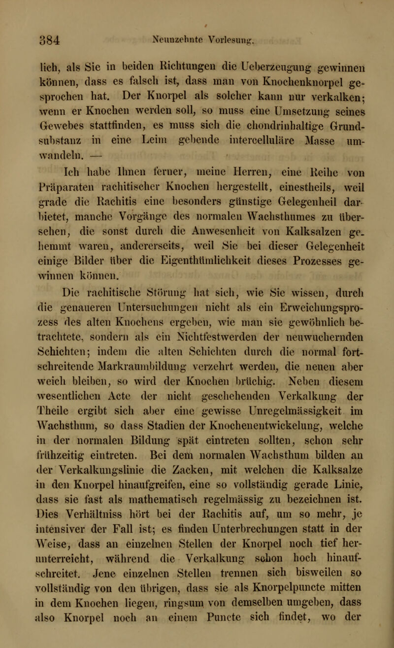 lieh, als Sie in beiden Richtungen die Ueberzeugung gewinnen können, dass es falsch ist, dass man von Kiiochenknorpel ge- sprochen hat. Der Knorpel als solcher kann nur verkalken; wenn er Knochen werden soll, so muss eine Umsetzung seines Gewebes stattfinden, es muss sich die chondrinhaltige Grund- suhstanz in eine Leim gehende intercellulare Masse um- wandeln. — Ich habe Ihnen ferner, meine Herren, eine Reihe von Präparaten rachitischer Knochen hergestellt, einestheils, weil grade die Rachitis eine besonders günstige Gelegenheil dar- bietet, manche Vorgänge des normalen Wachsthumes zu über- sehen, die sonst durch die Anwesenheit von Kalksalzen ge- hemmt waren, andererseits, weil Sie bei dieser Gelegenheit einige Bilder über die Eigenthümlichkeit dieses Prozesses ge- winnen können. Die rachitische Störung hat sich, wie Sie wissen, durch die genaueren Untersuchungen nicht als ein Erweichungspro- zess des alten Knochens ergeben, wie man sie gewöhnlich be- trachtete, sondern als ein Nichtfestwerden der neuwuchernden Schichten; indem die alten Schichten durch die normal fort- schreitende Markraumbildung verzehrt werden, die neuen aber weich bleiben, so wird der Knochen brüchig. Neben diesem wesentlichen Acte der nicht geschehenden Verkalkung der Theile ergibt sich aber eine gewisse Unregelmässigkeit im Wachsthum, so dass Stadien der Knochenentwickelung, welche in der normalen Bildung spät eintreten sollten, schon sehr frühzeitig eintreten. Bei dem normalen Wachsthum bilden an der Verkalkungslinie die Zacken, mit welchen die Kalksalze in den Knorpel hinaufgreifen, eine so vollständig gerade Linie, dass sie fast als mathematisch regelmässig zu bezeichnen ist. Dies Verhältniss hört bei der Rachitis auf, um so mehr, je intensiver der Fall ist; es finden Unterbrechungen statt in der Weise, dass an einzelnen Stellen der Knorpel noch tief her- unterreicht, während die Verkalkung schon hoch hinauf- schreitet. Jene einzelnen Stellen trennen sich bisweilen so vollständig von den übrigen, dass sie als Knorpelpuncte mitten in dem Knochen liegen, ringsum von demselben umgeben, dass also Knorpel noch an einem Punete sich findet, wo der