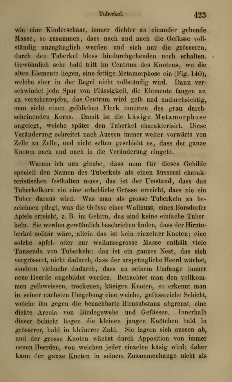 wie eine Kinderschaar, immer dichter an einander gehende Masse, so zusammen, dass nach und nach die Gefässe voll- ständig unzugänglich werden und sich nur die grösseren, durch den Tuberkel bloss hindurchgehenden noch erhalten. Gewöhnlich sehr bald tritt im Centrum des Knotens, wo die alten Elemente liegen, eine fettige Metamorphose ein (Fig. 140), welche aber in der Regel nicht vollständig wird. Dann ver- schwindet jede Spur von Flüssigkeit, die Elemente fangen an zu verschrumpfen, das Centrum wird gelb und undurchsichtig, man sieht einen gelblichen Fleck inmitten des grau durch- scheinenden Korns. Damit ist die käsige Metamorphose angelegt, welche später den Tuberkel charakterisirt. Diese Veränderung schreitet nach Aussen immer weiter vorwärts von Zelle zu Zelle, und nicht selten geschieht es, dass der ganze Knoten nach und nach in die Veränderung eingeht. Warum ich nun glaube, dass man für dieses Gebilde speciell den Namen des Tuberkels als einen äusserst charak- teristischen festhalten muss, das ist der Umstand, dass das Tuberkelkorn nie eine erhebliche Grösse erreicht, dass nie ein Tuber daraus wird. Was man als grosse Tuberkeln zu be- zeichnen pflegt, was die Grösse einer Wallnuss, eines Borsdorfer Apfels erreicht, z. B. im Gehirn, das sind keine einfache Tuber- keln. Sie werden gewöhnlich beschrieben finden, dass der Hirntu- berkel solitär wäre, allein das ist kein einzelner Knoten; eine solche apfel- oder nur wallnussgrosse Masse enthält viele Tausende von Tuberkeln; das ist ein ganzes Nest, das sich vergrössert, nicht dadurch, dass der ursprüngliche Heerd wächst, sondern vielmehr dadurch, dass an seinem Umfange immer neue Heerde angebildet werden. Betrachtet man den vollkom- men gelbweissen, trockenen, käsigen Knoten, so erkennt man in seiner nächsten Umgebung eine weiche, gefässreiche Schicht, welche ihn gegen die benachbarte Hirnsubstanz abgrenzt, eine dichte Areola von Bindegewebe und Gefässen. Innerhalb dieser Schicht liegen die kleinen jungen Knötchen bald in grösserer, bald in kleinerer Zahl. Sie lagern sich aussen ab, und der grosse Knoten wächst durch Apposition von immer neuen Heerden, von welchen jeder einzelne käsig wird; daher kann c!er ganze Knoten in seinem Zusammenhange nicht als