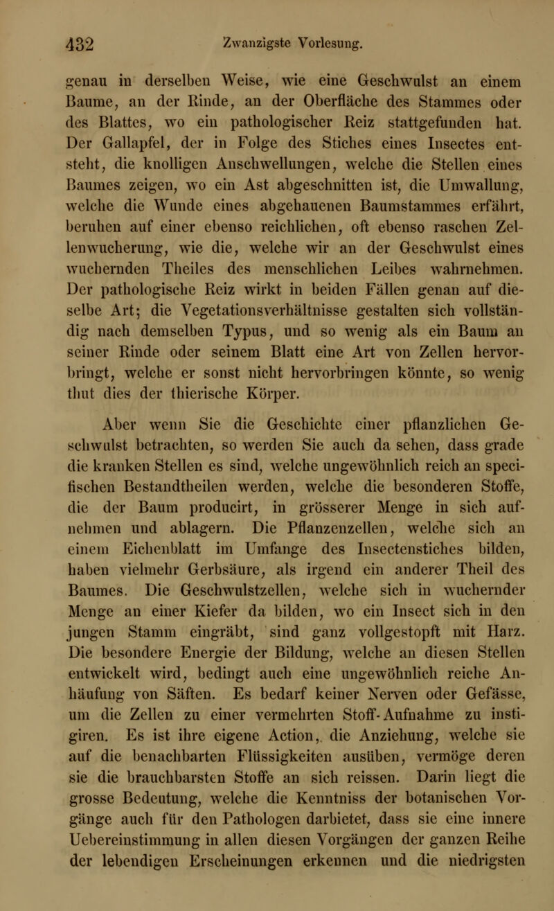 genau in derselben Weise, wie eine Geschwulst an einem Baume, an der Rinde, an der Oberfläche des Stammes oder des Blattes, wo ein pathologischer Reiz stattgefunden hat. Der Gallapfel, der in Folge des Stiches eines Insectes ent- steht, die knolligen Anschwellungen, welche die Stellen eines Baumes zeigen, wo ein Ast abgeschnitten ist, die Umwallung, welche die Wunde eines abgehauenen Baumstammes erfährt, beruhen auf einer ebenso reichlichen, oft ebenso raschen Zel- lenwucherung, wie die, welche wir an der Geschwulst eines wuchernden Theiles des menschlichen Leibes wahrnehmen. Der pathologische Reiz wirkt in beiden Fällen genau auf die- selbe Art; die Vegetationsverhältnisse gestalten sich vollstän- dig nach demselben Typus, und so wenig als ein Baum an seiner Rinde oder seinem Blatt eine Art von Zellen hervor- bringt, welche er sonst nicht hervorbringen könnte, so wenig thut dies der thierische Körper. Aber wenn Sie die Geschichte einer pflanzlichen Ge- schwulst betrachten, so werden Sie auch da sehen, dass grade die kranken Stellen es sind, welche ungewöhnlich reich an speci- fischen Bestandtheilen werden, welche die besonderen Stoffe, die der Baum producirt, in grösserer Menge in sich auf- nehmen und ablagern. Die Pflanzenzellen, welche sich an einem Eichenblatt im Umfange des Insectenstiches bilden, haben vielmehr Gerbsäure, als irgend ein anderer Theil des Baumes, Die Geschwulstzellen, welche sich in wuchernder Menge an einer Kiefer da bilden, wo ein Insect sich in den jungen Stamm eingräbt, sind ganz vollgestopft mit Harz. Die besondere Energie der Bildung, welche an diesen Stellen entwickelt wird, bedingt auch eine ungewöhnlich reiche An- häufung von Säften. Es bedarf keiner Nerven oder Gefässe, um die Zellen zu einer vermehrten Stoff-Aufnahme zu insti- giren. Es ist ihre eigene Action,. die Anziehung, welche sie auf die benachbarten Flüssigkeiten ausüben, vermöge deren sie die brauchbarsten Stoffe an sich reissen. Darin liegt die grosse Bedeutung, welche die Kenntniss der botanischen Vor- gänge auch für den Pathologen darbietet, dass sie eine innere Uebereinstimmung in allen diesen Vorgängen der ganzen Reihe der lebendigen Erscheinungen erkennen und die niedrigsten