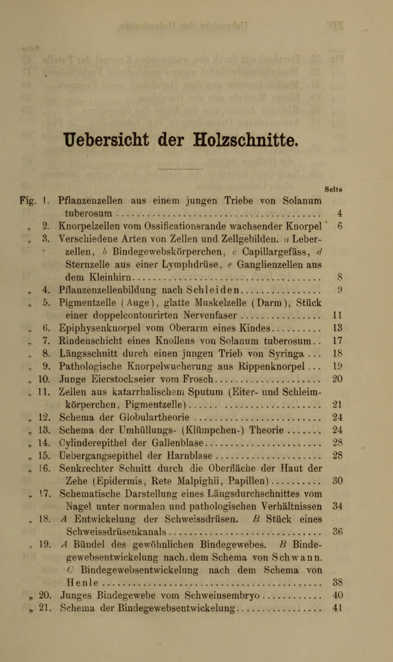 Uebersicht der Holzschnitte. Seite Fig. I. Pflanzenzellen aus einem jungen Triebe von Solanum tuberosum 4 „ 2. Knorpelzellen vom Ossificationsrande wachsender Knorpel 6 l 8. Verschiedene Arten von Zellen und Zellgebilden, a Leber- zellen, b Bindegewebskörperchen, c Capillargefäss, rf Sternzelle aus einer Lymphdrüse, e Ganglienzellen aus dem Kleinhirn 8 „ 4. Pflanzenzellenbildung nach Schieiden 9 „ 5. Pigmentzelle (Auge), glatte Muskelzelle (Darm), Stück einer doppelcontourirten Nervenfaser 11 - 6. Epiphysenknorpel vom Oberarm eines Kindes 13 ,. 7. Rindenschicht eines Knollens von Solanum tuberosum.. 17 „ 8. Längsschnitt durch einen jungen Trieb von Syringa ... 18 ,. 9. Pathologische Knorpelwucherung aus Rippenknorpel... 19 „ 10. Junge Eierstockseier vom Frosch 20 „ 11. Zellen aus katarrhalischem Sputum (Eiter-und Schleim- körperchen, Pigmentzelle) 21 „ 12. Schema der Globulartheorie 24 r 13. Schema der Umhüllungs- (Klümpchen-) Theorie 24 „ 14. Cylinderepithel der Gallenblase 28 „ 15. Uebergangsepithel der Harnblase 28 . 16. Senkrechter Schnitt durch die Oberfläche der Haut der Zehe (Epidermis, Rete Malpighii, Papillen) 30 , 17. Schematische Darstellung eines Längsdurchschnittes vom Nagel unter normalen und pathologischen Verhältnissen 34 .18. A Entwicklung der Schweissdrüsen. B Stück eines Schweissdrüsenkanals 36 - 19. A Bündel des gewöhnlichen Bindegewebes. B Binde- gewebsentwickelung nach.dem Schema von Schwann. C Bindegewebsentwickelung nach dem Schema von H e n 1 e 38 „ 20. Junges Bindegewebe vom Schweinsembryo 40 „ 21. Schema der Bindegewebsentwickelung 41