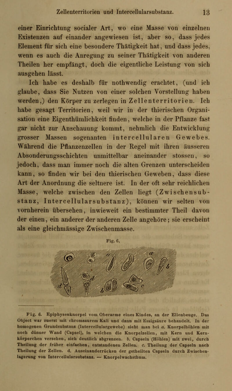 einer Einrichtung socialer Art, wo eine Masse von einzelnen Existenzen auf einander angewiesen ist, aber so, dass jedes Element für sich eine besondere Thätigkeit hat, und dass jedes, wenn es auch die Anregung zu seiner Thätigkeit von anderen Theilen her empfängt, doch die eigentliche Leistung von sich ausgehen lässt. Ich habe es deshalb für nothwendig erachtet, (und ich glaube, dass Sie Nutzen von einer solchen Vorstellung haben werden,) den Körper zu zerlegen in Zellenterritorien. Ich habe gesagt Territorien, weil wir in der thierischen Organi- sation eine Eigenthümlichkeit finden, welche in der Pflanze fast gar nicht zur Anschauung kommt, nehmlich die Entwicklung grosser Massen sogenanten intercellularen Gewebes. Während die Pflanzenzellen in der Regel mit ihren äusseren Absonderungsschichten unmittelbar aneinander stossen, so jedoch, dass man immer noch die alten Grenzen unterscheiden kann, so finden wir bei den thierischen Geweben, dass diese Art der Anordnung die seltnere ist. In der oft sehr reichlichen Masse, welche zwischen den Zellen liegt (Zwischensub- stanz, Intercellularsubstanz), können wir selten von vornherein übersehen, inwieweit ein bestimmter Theil davon der einen, ein anderer der anderen Zelle angehöre; sie erscheint als eine gleichmässige Zwischenmasse. Fig. 6. Fig. 6. Epiphysenknorpel vom Oberarme eines Kindes, an der Ellenbeuge. Das Object war zuerst mit chromsaurem Kali und dann mit Essigsäure behandelt. In der homogenen Grundsubstanz (Intercellulargewebe) sieht man bei a. Knorpelhöhlen mit noch dünner Wand (Capsel), in welchen die Knorpelzellen, mit Kern uud Kern- körperchen versehen, sich deutlich abgrenzen, b. Capseln (Höhlen) mit zwei, durch Theilung der früher einfachen, entstandenen Zellen, c. Theilung der Capseln nach Theilung der Zellen, d. Auseinanderrücken der getheilten Capseln durch Zwischen- lagerung von Intercellularsubstanz. — Knorpelwachsthum.