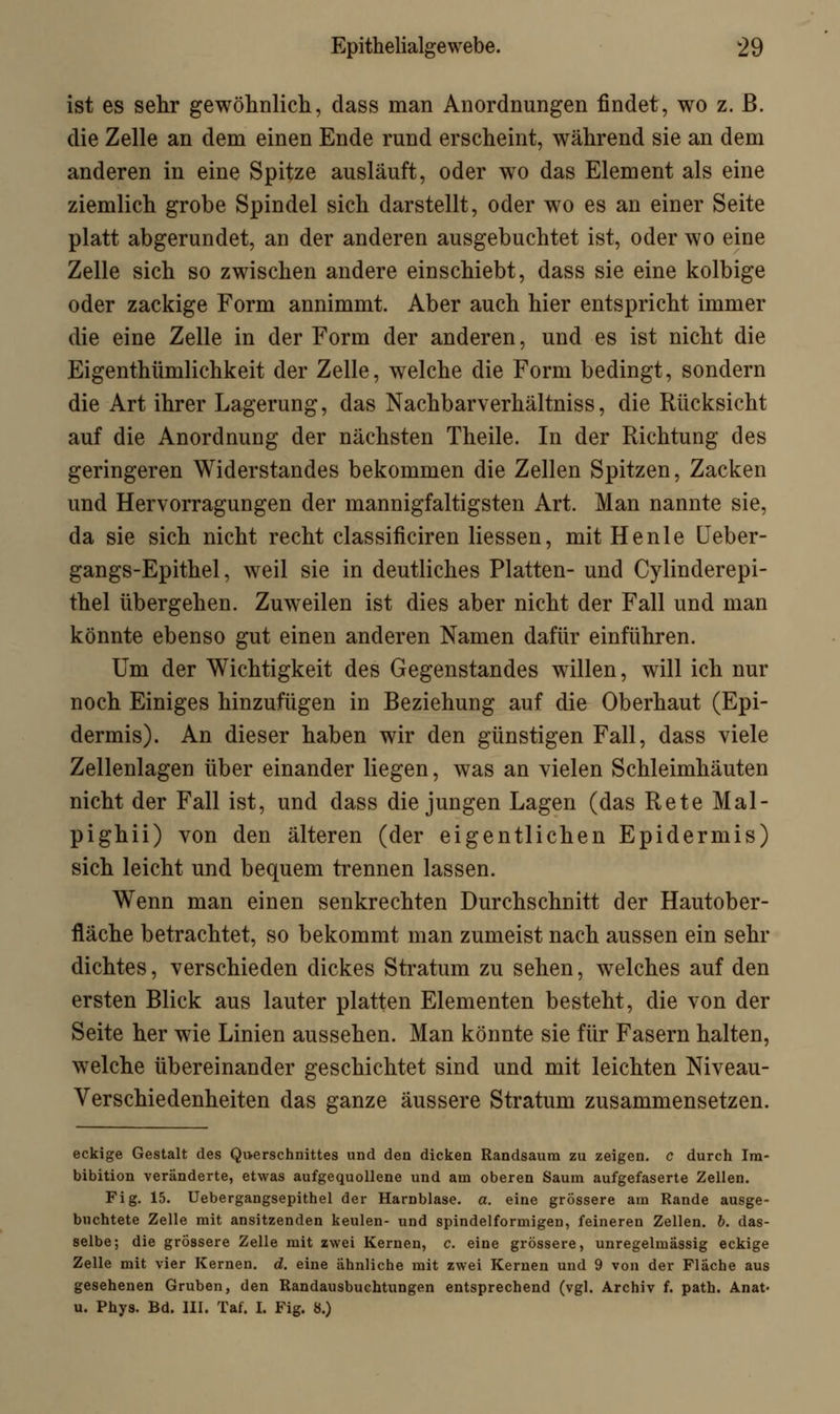 ist es sehr gewöhnlich, dass man Anordnungen findet, wo z. B. die Zelle an dem einen Ende rund erscheint, während sie an dem anderen in eine Spitze ausläuft, oder wo das Element als eine ziemlich grobe Spindel sich darstellt, oder wo es an einer Seite platt abgerundet, an der anderen ausgebuchtet ist, oder wo eine Zelle sich so zwischen andere einschiebt, dass sie eine kolbige oder zackige Form annimmt. Aber auch hier entspricht immer die eine Zelle in der Form der anderen, und es ist nicht die Eigenthümlichkeit der Zelle, welche die Form bedingt, sondern die Art ihrer Lagerung, das Nachbarverhältniss, die Rücksicht auf die Anordnung der nächsten Theile. In der Richtung des geringeren Widerstandes bekommen die Zellen Spitzen, Zacken und Hervorragungen der mannigfaltigsten Art. Man nannte sie, da sie sich nicht recht classificiren Hessen, mit He nie Ueber- gangs-Epithel, weil sie in deutliches Platten- und Cylinderepi- thel übergehen. Zuweilen ist dies aber nicht der Fall und man könnte ebenso gut einen anderen Namen dafür einführen. Um der Wichtigkeit des Gegenstandes willen, will ich nur noch Einiges hinzufügen in Beziehung auf die Oberhaut (Epi- dermis). An dieser haben wir den günstigen Fall, dass viele Zellenlagen über einander liegen, was an vielen Schleimhäuten nicht der Fall ist, und dass die jungen Lagen (das Rete Mal- pighii) von den älteren (der eigentlichen Epidermis) sich leicht und bequem trennen lassen. Wenn man einen senkrechten Durchschnitt der Hautober- fläche betrachtet, so bekommt man zumeist nach aussen ein sehr dichtes, verschieden dickes Stratum zu sehen, welches auf den ersten Blick aus lauter platten Elementen besteht, die von der Seite her wie Linien aussehen. Man könnte sie für Fasern halten, welche übereinander geschichtet sind und mit leichten Niveau- Verschiedenheiten das ganze äussere Stratum zusammensetzen. eckige Gestalt des Querschnittes und den dicken Randsaura zu zeigen, c durch Im- bibition veränderte, etwas aufgequollene und am oberen Saum aufgefaserte Zellen. Fig. 15. Uebergangsepithel der Harnblase, a. eine grössere am Rande ausge- richtete Zelle mit ansitzenden keulen- und spindelförmigen, feineren Zellen, b. das- selbe; die grössere Zelle mit zwei Kernen, c. eine grössere, unregelmässig eckige Zelle mit vier Kernen, d. eine ähnliche mit zwei Kernen und 9 von der Fläche aus gesehenen Gruben, den Randausbuchtungen entsprechend (vgl. Archiv f. path. Anat- u. Phys. Bd. III. Taf. I. Fig. 8.)