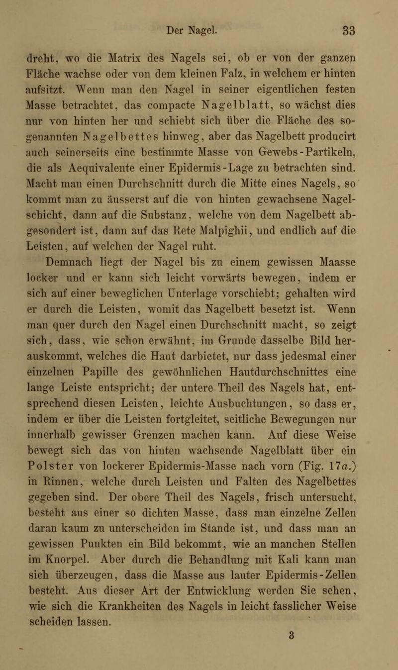 dreht, wo die Matrix des Nagels sei, ob er von der ganzen Fläche wachse oder von dem kleinen Falz, in welchem er hinten aufsitzt. Wenn man den Nagel in seiner eigentlichen festen Masse betrachtet, das compacte Nagelblatt, so wächst dies nur von hinten her und schiebt sich über die Fläche des so- genannten Nagelbettes hinweg, aber das Nagelbett producirt auch seinerseits eine bestimmte Masse von Gewebs-Partikeln, die als Aequivalente einer Epidermis-Lage zu betrachten sind. Macht man einen Durchschnitt durch die Mitte eines Nagels, so kommt man zu äusserst auf die von hinten gewachsene Nagel- schicht, dann auf die Substanz, welche von dem Nagelbett ab- gesondert ist, dann auf das Rete Malpighii, und endlich auf die Leisten, auf welchen der Nagel ruht. Demnach liegt der Nagel bis zu einem gewissen Maasse locker und er kann sich leicht vorwärts bewegen, indem er sich auf einer beweglichen Unterlage vorschiebt; gehalten wird er durch die Leisten, womit das Nagelbett besetzt ist. Wenn man quer durch den Nagel einen Durchschnitt macht, so zeigt sich, dass, wie schon erwähnt, im Grunde dasselbe Bild her- auskommt, welches die Haut darbietet, nur dass jedesmal einer einzelnen Papille des gewöhnlichen Hautdurchschnittes eine lange Leiste entspricht; der untere Theil des Nagels hat, ent- sprechend diesen Leisten, leichte Ausbuchtungen, so dass er, indem er über die Leisten fortgleitet, seitliche Bewegungen nur innerhalb gewisser Grenzen machen kann. Auf diese Weise bewegt sich das von hinten wachsende Nagelblatt über ein Polster von lockerer Epidermis-Masse nach vorn (Fig. 17a.) in Binnen, welche durch Leisten und Falten des Nagelbettes gegeben sind. Der obere Theil des Nagels, frisch untersucht, besteht aus einer so dichten Masse, dass man einzelne Zellen daran kaum zu unterscheiden im Stande ist, und dass man an gewissen Punkten ein Bild bekommt, wie an manchen Stellen im Knorpel. Aber durch die Behandlung mit Kali kann man sich überzeugen, dass die Masse aus lauter Epidermis - Zellen besteht. Aus dieser Art der Entwicklung werden Sie sehen, wie sich die Krankheiten des Nagels in leicht fasslicher Weise scheiden lassen. 3