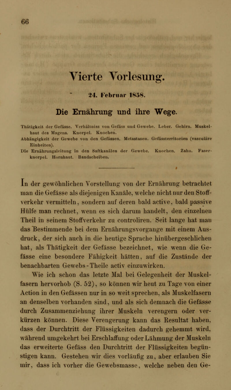 Vierte Vorlesung. 24. Februar 1858. Die Ernährung und ihre Wege. Tliätigkeit der Gefässe. Verhältniss von Gefäss und Gewebe. Leber. Gehirn. Muskel- haut des Magens. Knorpel. Knochen. Abhängigkeit der Gewebe von den Gefässen. Metastasen. Gefässterritorien (vasculare Einheiten). Die Ernährungsleitung in den Saftkanälen der Gewebe. Knochen. Zahn. Faser- knorpel. Hornhaut. Bandscheiben. In der gewöhnlichen Vorstellung von der Ernährung betrachtet man die Gefässe als diejenigen Kanäle, welche nicht nur den Stoff- verkehr vermitteln, sondern auf deren bald active. bald passive Hülfe man rechnet, wenn es sich darum handelt, den einzelnen Theil in seinem Stoffverkehr zu controliren. Seit lange hat mau das ^Bestimmende bei dem Ernährungsvorgange mit einem Aus- druck, der sich auch in die heutige Sprache hinübergeschlichen hat, als Thätigkeit der Gefässe bezeichnet, wie wenn die Ge- fässe eine besondere Fähigkeit hätten, auf die Zustände der benachbarten Gewebs-Theile activ einzuwirken. Wie ich schon das letzte Mal bei Gelegenheit der Muskel- fasern hervorhob (S. 52), so können wir heut zu Tage von einer Action in den Gefässen nur in so weit sprechen, als Muskelfasern an denselben vorhanden sind, und als sich demnach die Gefässe durch Zusammenziehung ihrer Muskeln verengern oder ver- kürzen können. Diese Verengerung kann das Resultat haben, dass der Durchtritt der Flüssigkeiten dadurch gehemmt wird, während umgekehrt bei Erschlaffung oder Lähmung der Muskeln das erweiterte Gefäss den Durchtritt der Flüssigkeiten begün- stigen kann. Gestehen wir dies vorläufig zu, aber erlauben Sie mir, dass ich vorher die Gewebsmasse, welche neben den Ge-