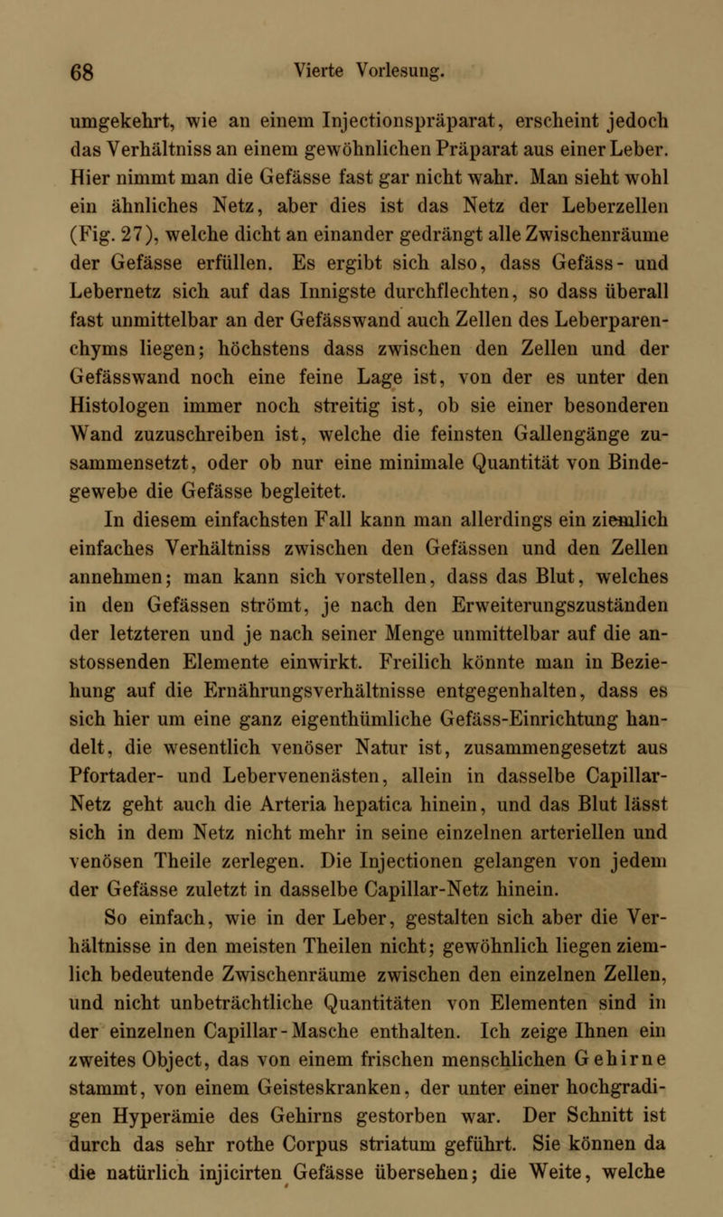 umgekehrt, wie an einem Injectionspräparat, erscheint jedoch das Verhältniss an einem gewöhnlichen Präparat aus einer Leber. Hier nimmt man die Gefässe fast gar nicht wahr. Man sieht wohl ein ähnliches Netz, aber dies ist das Netz der Leberzellen (Fig. 27), welche dicht an einander gedrängt alle Zwischenräume der Gefässe erfüllen. Es ergibt sich also, dass Gefäss- und Lebernetz sich auf das Innigste durchflechten, so dass überall fast unmittelbar an der Gefässwand auch Zellen des Leberparen- chyms liegen; höchstens dass zwischen den Zellen und der Gefässwand noch eine feine Lage ist, von der es unter den Histologen immer noch streitig ist, ob sie einer besonderen Wand zuzuschreiben ist, welche die feinsten Gallengänge zu- sammensetzt, oder ob nur eine minimale Quantität von Binde- gewebe die Gefässe begleitet. In diesem einfachsten Fall kann man allerdings ein ziemlich einfaches Verhältniss zwischen den Gefässen und den Zellen annehmen; man kann sich vorstellen, dass das Blut, welches in den Gefässen strömt, je nach den Erweiterungszuständen der letzteren und je nach seiner Menge unmittelbar auf die an- stossenden Elemente einwirkt. Freilich könnte man in Bezie- hung auf die Ernährungsverhältnisse entgegenhalten, dass es sich hier um eine ganz eigenthümliche Gefäss-Einrichtung han- delt, die wesentlich venöser Natur ist, zusammengesetzt aus Pfortader- und Lebervenenästen, allein in dasselbe Capillar- Netz geht auch die Arteria hepatica hinein, und das Blut lässt sich in dem Netz nicht mehr in seine einzelnen arteriellen und venösen Theile zerlegen. Die Injectionen gelangen von jedem der Gefässe zuletzt in dasselbe Capillar-Netz hinein. So einfach, wie in der Leber, gestalten sich aber die Ver- hältnisse in den meisten Theilen nicht; gewöhnlich liegen ziem- lich bedeutende Zwischenräume zwischen den einzelnen Zellen, und nicht unbeträchtliche Quantitäten von Elementen sind in der einzelnen Capillar - Masche enthalten. Ich zeige Ihnen ein zweites Object, das von einem frischen menschlichen Gehirne stammt, von einem Geisteskranken, der unter einer hochgradi- gen Hyperämie des Gehirns gestorben war. Der Schnitt ist durch das sehr rothe Corpus striatum geführt. Sie können da die natürlich injicirten Gefässe übersehen; die Weite, welche