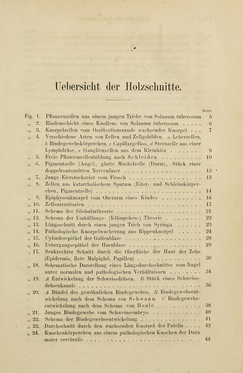 Uebersiclit der Holzschnitte. Seite Fig. t, Pflanzeuzellen aus einem jungen Triebe von Solanum tuberosum 5 „ 2. Rindenschicht eines Knollens von Solanum tuberosum 6 „ 3. Knorpelzellen vom Ossificationsrande wachsender Knorpel ... 7 „ 4. Verschiedene Arten von Zellen und Zellgebilden. « Leberzellen, b Bindegewebskörperchen, c Capillargefäss, d Sternzelle aus einer Lymphdrüse, e Ganglienzellen aus dem Kleinhirn 9 „ 5. Freie Pflanzenzellenbildung nach Schieiden 10 „ 6. Pigmentzelle (Auge), glatte Muskelzelle (Darm), Stück einer doppelcontourirten Nervenfaser 13 „ 7. Junge Eierstockseier vom Frosch 13 „ 8. Zellen aus katarrhalischem Sputum (Eiter- und Schleimkörper- chen, Pigmentzelle) 14 „ 9. Epiphysenknorpel vom Oberarm eines Kindes 16 „ 10. Zellenterritorien 17 „ 11. Schema der Globulartheorie 21 „ 12. Schema der Umhüllungs- (Klümpchen-) Theorie 22 ,, 13. Längsschnitt durch einen jungen Trieb von Syringa 23 „ 14. Pathologische Knorpelwucherung aus Rippenknorpel 24 „ 15. Cylinderepithel der Gallenblase 28 „ 16. Uebergangsepithel der Harnblase 29 ., 17. Senkrechter Schnitt durch die Oberfläche der Haut der Zehe (Epidermis, Rete Malpighii, Papillen) 30 „ 18. Schematische Darstellung eines Längsdurchschnittes vom Nagel unter normalen und pathologischen Verhältnissen 34 „ 19. A Entwickelung der Schweissdrüsen. B Stück eines Schweiss- drüsenkanals 36 „ 20. A Bündel des gewöhnlichen Bindegewebes. B Bindegewebsent- wickelung nach dem Schema von Schwann. C Bindegewebs- entwickelung nach dem Schema von Henle 38 „ 21. Junges Bindegewebe vom Schweinsembryo 40 „ 22. Schema der Bindegewebsentwickelung .' 41 „ 23. Durchschnitt durch den wachsenden Knorpel der Patella .... 42 „ 24. Knochenkörperchen aus einem pathologischen Knochen der Dura mater cerebralis •. ■ 44