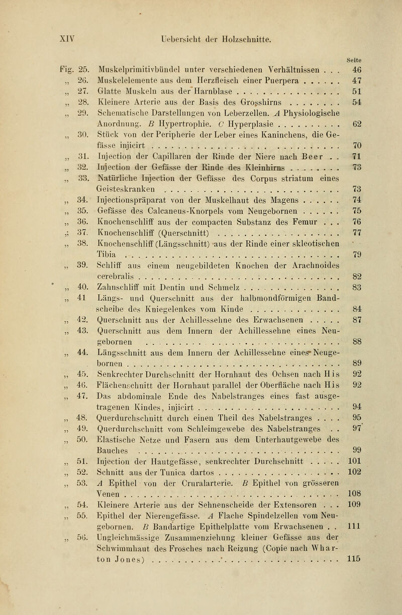 Seite Fig. 25. Muskelprimitivbündel unter verschiedenen Verhältnissen ... 46 ,, 26. Muskelelemente aus dem Herzfleisch einer Puerpera 47 „ 27. Glatte Muskeln aus der Harnblase 51 „ 28. Kleinere Arterie aus der Basis des Grosshirns 54 „ 29. Schematische Darstellungen von Leberzellen. A Physiologische Anordnung. B Hypertrophie. G Hyperplasie 62 „ 30. Stück von der Peripherie der Leber eines Kaninchens, die Ge- fässe injicirt 70 „ 31. Injection der Capillaren der Rinde der Niere nach Beer . . 71 „ 32. Injection der Gefässe der Rinde des Kleinhirns 73 „ 33. Natürliche Injection der Gefässe des Corpus striatum eines Geisteskranken ,. 73 „ 34. Injectiouspräparat von der Muskelhaut des Magens 74 „ 35. Gefässe des Calcaneus-Knorpels vom Neugebornen 75 „ 36. Knochenschliff aus der compacten Substanz des Femur ... 76 ,; 37. Knochenschliff (Querschnitt) 77 „ 38. Knochenschliff (Längsschnitt) ans der Rinde einer skleotischen Tibia 79 „ 39. Schliff aus einem neugebildeten Knochen der Arachnoides cerebralis 82 Zahnschliff mit Dentin und Schmelz 83 Längs- und Querschnitt aus der halbmondförmigen Band- scheibe des Kniegelenkes vom Kinde 84 Querschnitt aus der Achillessehne des Erwachsenen 87 Querschnitt aus dem Innern der Achillessehne eines Neu- gebornen 88 „ 44. Längsschnitt aus dem Inneru der Achillessehne eines-Neuge- bornen 89 „ 45. Senkrechter Durchschnitt der Hornhaut des Ochsen nachHis 92 „ 46. Flächenschnitt der Hornhaut parallel der Oberfläche nach His 92 „ 47. Das abdominale Ende des Nabelstranges eines fast ausge- tragenen Kindes, injicirt 94 „ 48. Querdurchschnitt durch einen Theil des Nabelstranges .... 95 „ 49. Querdurchschnitt vom Schleimgewebe des Nabelstranges . . 97 ,, 50. Elastische Netze und Fasern aus dem Unterhautgewebe des Bauches 99 ,, 51. Injection der Hautgefasse, senkrechter Durchschnitt 101 „ 52. Schnitt aus der Tunica dartos 102 „ 53. A Epithel von der Cruralarterie. B Epithel von grösseren Venen 108 „ 54. Kleinere Arterie aus der Sehnenscheide der Extensoren . . . 109 „ 55. Epithel der Nierengefässe. A Flache Spindelzellen vom Neu- gebornen. B Bandartige Epithelplatte vom Erwachsenen . . 111 „ 56. Ungleichmässige Zusammenziehung kleiner Gefässe aus der Schwimmhaut des Frosches nach Reizung (Copie nach Whar- ton Jones) ' 115 ?5 40. 55 41 55 42. 55 43.