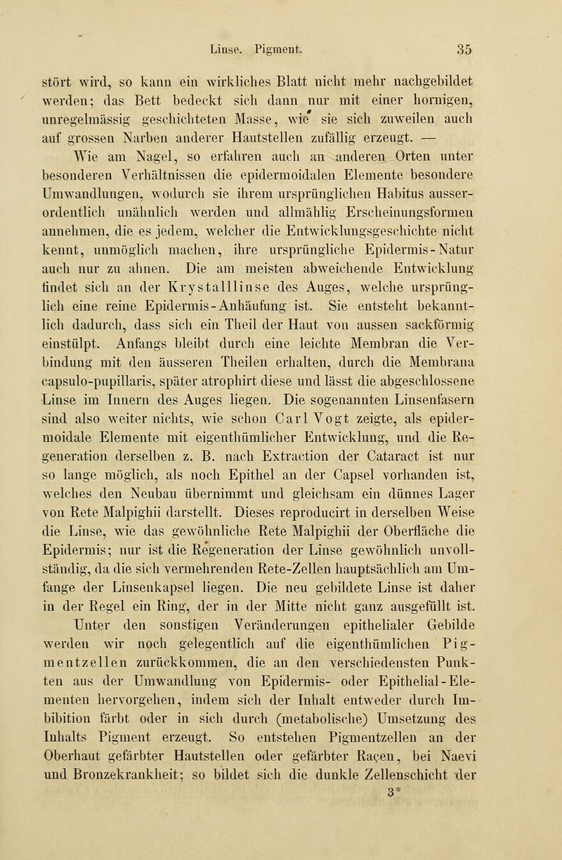 stört wird, so kann ein wirkliches Blatt nicht mehr nachgebildet werden; das Bett bedeckt sich dann nur mit einer hornigen, unregelmässig geschichteten Masse, wie sie sich zuweilen auch auf grossen Narben anderer Hautstellen zufällig erzeugt. — Wie am Nagel, so erfahren auch an anderen. Orten unter besonderen Verhältnissen die epidermoidalen Elemente besondere Umwandlungen, wodurch sie ihrem ursprünglichen Habitus ausser- ordentlich unähnlich werden und allmählig Erscheinungsformen annehmen, die es jedem, welcher die Entwicklungsgeschichte nicht kennt, immöglich machen, ihre ursprüngliche Epidermis - Natur auch nur zu ahnen. Die am meisten abweichende Entwicklung findet sich an der Krystalllinse des Auges, welche ursprüng- lich eine reine Epidermis-Anhäufung ist. Sie entsteht bekannt- lich dadurch, dass sich ein Theil der Haut von aussen sackförmig einstülpt. Anfangs bleibt durch eine leichte Membran die Ver- bindung mit den äusseren Theilen erhalten, durch die Membrana capsulo-pupillaris, später atrophirt diese und lässt die abgeschlossene Linse im Innern des Auges liegen. Die sogenannten Linsenfasern sind also weiter nichts, wie schon Carl Vogt zeigte, als epider- moidale Elemente mit eigenthümlicher Entwicklung, und die Re- generation derselben z. B. nach Extraction der Cataract ist nur so lange möglich, als noch Epithel an der Capsel vorhanden ist, welches den Neubau übernimmt und gleichsam ein dünnes Lager von Rete Malpighii darstellt. Dieses reproducirt in derselben Weise die Linse, wie das gewöhnliche Rete Malpighii der Oberfläche die Epidermis; nur ist die Regeneration der Linse gewöhnlich unvoll- ständig, da die sich vermehrenden Rete-Zellen hauptsächlich am Um- fange der Linsenkapsel liegen. Die neu gebildete Linse ist daher in der Regel ein Ring, der in der Mitte nicht ganz ausgefüllt ist. Unter den sonstigen Veränderungen epithelialer Gebilde werden wir noch gelegentlich auf die eigentümlichen Pig- mentzellen zurückkommen, die an den verschiedensten Punk- ten aus der Umwandlung von Epidermis- oder Epithelial-Ele- menten hervorgehen, indem sich der Inhalt entweder durch Im- bibition färbt oder in sich durch (metabolische) Umsetzung des Inhalts Pigment erzeugt. So entstehen Pigmentzellen an der Oberhaut gefärbter Hautstellen oder gefärbter Racen, bei Naevi und Bronzekrankheit; so bildet sich die dunkle Zellenschicht der 3*