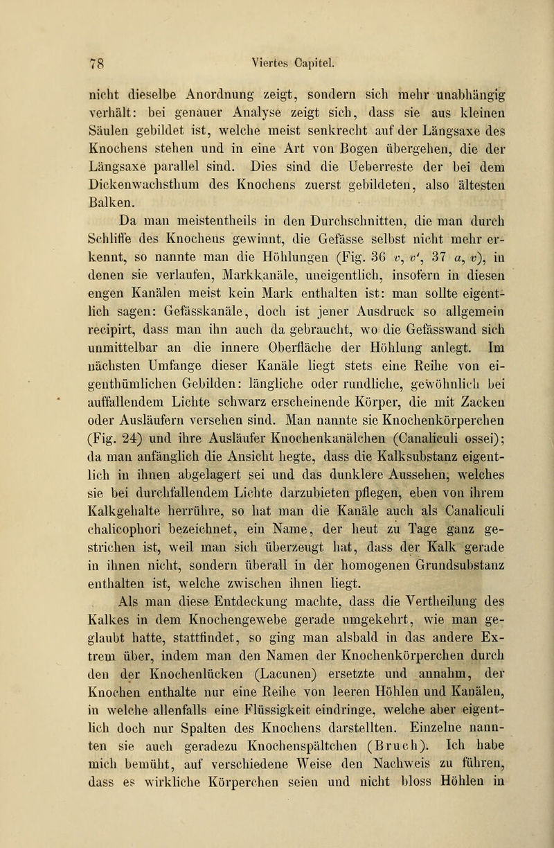 nicht dieselbe Anordnung zeigt, sondern sich mehr unabhängig verhält: bei genauer Analyse zeigt sich, dass sie aus kleinen Säulen gebildet ist, welche nieist senkrecht auf der Längsaxe des Knochens stehen und in eine Art von Bogen übergehen, die der Längsaxe parallel sind. Dies sind die Ueberreste der bei dem Dickenwachsthum des Knochens zuerst gebildeten, also ältesten Balken. Da man meistentheils in den Durchschnitten, die man durch Schliffe des Knochens gewinnt, die Gefässe selbst nicht mehr er- kennt, so nannte man die Höhlungen (Fig. 36 v, v\ 37 a, t>), in denen sie verlaufen, Markkanäle, uneigentlich, insofern in diesen engen Kanälen meist kein Mark enthalten ist: man sollte eigent- lich sagen: Gefässkanäle, doch ist jener Ausdruck so allgemein recipirt, dass man ihn auch da gebraucht, wo die Gefässwand sich unmittelbar an die innere Oberfläche der Höhlung anlegt. Im nächsten Umfange dieser Kanäle liegt stets eine Reihe von ei- genthümlichen Gebilden: längliche oder rundliche, gewöhnlich bei auffallendem Lichte schwarz erscheinende Körper, die mit Zacken oder Ausläufern versehen sind. Man nannte sie Knochenkörperchen (Fig. 24) und ihre Ausläufer Knochenkanälchen (Canaliculi ossei); da man anfänglich die Ansicht hegte, dass die Kalk Substanz eigent- lich in ihnen abgelagert sei und das dunklere Aussehen, welches sie bei durchfallendem Lichte darzubieten pflegen, eben von ihrem Kalkgehalte herrühre, so hat man die Kanäle auch als Canaliculi chalicophori bezeichnet, ein Name, der heut zu Tage ganz ge- strichen ist, weil man sich überzeugt hat, dass der Kalk gerade in ihnen nicht, sondern überall in der homogenen Grundsubstanz enthalten ist, welche zwischen ihnen liegt. Als man diese Entdeckung machte, dass die Yertheilung des Kalkes in dem Knochengewebe gerade umgekehrt, wie man ge- glaubt hatte, stattfindet, so ging man alsbald in das andere Ex- trem über, indem man den Namen der Knochenkörperchen durch den der Knochenlücken (Lacunen) ersetzte und annahm, der Knochen enthalte nur eine Reihe von leeren Höhlen und Kanälen, in welche allenfalls eine Flüssigkeit eindringe, welche aber eigent- lich doch nur Spalten des Knochens darstellten. Einzelne nann- ten sie auch geradezu Knochenspältchen (Bruch). Ich habe mich bemüht, auf verschiedene Weise den Nachweis zu führen, dass es wirkliche Körperchen seien und nicht bloss Höhlen in