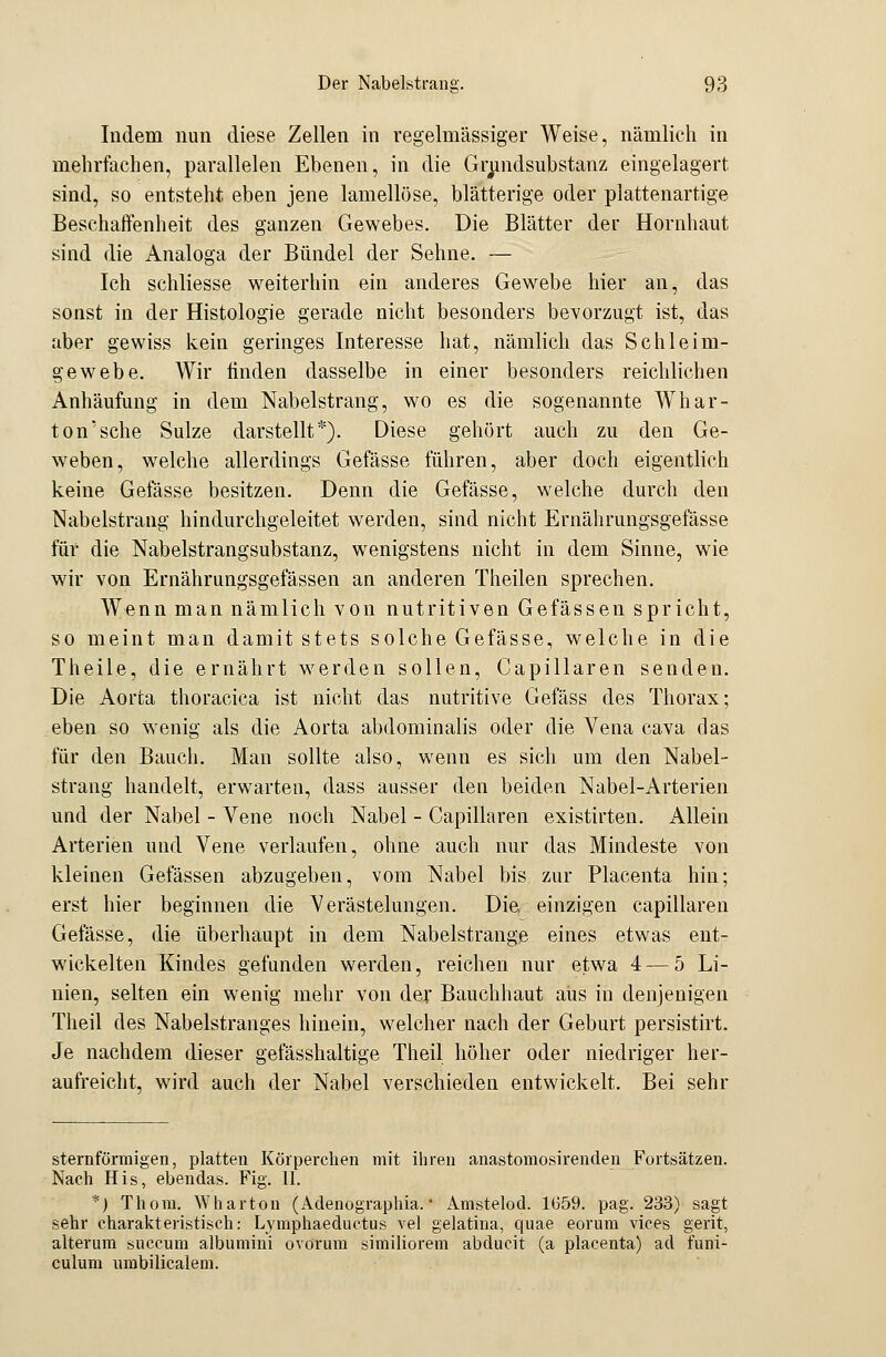 Indem nun diese Zellen in regelmässiger Weise, nämlich in mehrfachen, parallelen Ebenen, in die Grundsubstanz eingelagert sind, so entsteht eben jene lamellöse, blätterige oder plattenartige Beschaffenheit des ganzen Gewebes. Die Blätter der Hornhaut sind die Analoga der Bündel der Sehne. — Ich schliesse weiterhin ein anderes Gewebe hier an, das sonst in der Histologie gerade nicht besonders bevorzugt ist, das aber gewiss kein geringes Interesse hat, nämlich das Schleim- gewebe. Wir linden dasselbe in einer besonders reichlichen Anhäufung in dem Nabelstrang, wo es die sogenannte Whar- ton'sche Sülze darstellt*). Diese gehört auch zu den Ge- weben, welche allerdings Gefässe führen, aber doch eigentlich keine Gefässe besitzen. Denn die Gefässe, welche durch den Nabelstrang hindurchgeleitet werden, sind nicht Ernährungsgefässe für die Nabelstrangsubstanz, wenigstens nicht in dem Sinne, wie wir von Ernährungsgefässen an anderen Theilen sprechen. Wenn man nämlich von nutritiven Gefässen spricht, so meint man damit stets solche Gefässe, welche in die Theile, die ernährt werden sollen, Capillaren senden. Die Aorta thoracica ist nicht das nutritive Gefäss des Thorax; eben so wenig als die Aorta abdominalis oder die Vena cava das für den Bauch. Man sollte also, wenn es sich um den Nabel- strang handelt, erwarten, dass ausser den beiden Nabel-Arterien und der Nabel - Vene noch Nabel - Capillaren existirten. Allein Arterien und Vene verlaufen, ohne auch nur das Mindeste von kleinen Gefässen abzugeben, vom Nabel bis. zur Placenta hin; erst hier beginnen die Verästelungen. Die einzigen capillaren Gefässe, die überhaupt in dem Nabelstrange eines etwas ent- wickelten Kindes gefunden werden, reichen nur etwa 4 — 5 Li- nien, selten ein wenig mehr von der Bauchhaut aus in denjenigen Theil des Nabelstranges hinein, welcher nach der Geburt persistirt. Je nachdem dieser gefässhaltige Theil höher oder niedriger her- aufreicht, wird auch der Nabel verschieden entwickelt. Bei sehr sternförmigen, platten Körperchen mit ihren anastomosirenden Fortsätzen. Nach His, ebendas. Fig. II. *) Thom. Wharton (Adenographia. • Amstelod. 1659. pag. 233) sagt sehr charakteristisch: Lymphaeductus vel gelatina, quae eorum vices gerit, alterum succum albumini ovorum similiorem abducit (a placenta) ad funi- culum nmbilicalem.