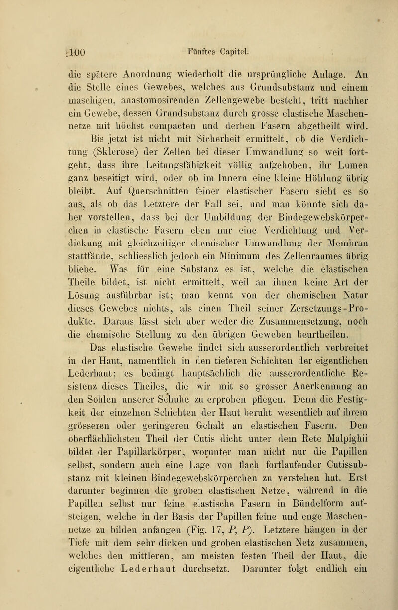 die spätere Anordnung' wiederholt die ursprüngliche Anlage. An die Stelle eines Gewebes, welches aus Grundsubstanz und einem maschigen, anastomosirenden Zellengewebe besteht, tritt nachher ein Gewebe, dessen Grundsubstanz durch grosse elastische Maschen- netze mit höchst compacten und derben Fasern abgetheilt wird. Bis jetzt ist nicht mit Sicherheit ermittelt, ob die Verdich- tung (Sklerose) der Zellen bei dieser Umwandlung so weit fort- geht, dass ihre Leitungsfähigkeit völlig aufgehoben, ihr Lumen ganz beseitigt wird, oder ob im Innern eine kleine Höhlung übrig- bleibt. Auf Querschnitten feiner elastischer Fasern sieht es so aus, als ob das Letztere der Fall sei, und man könnte sich da- her vorstellen, dass bei der Umbildung der Bindegewebskörper- chen in elastische Fasern eben nur eine Verdichtung und Ver- dickung mit gleichzeitiger chemischer Umwandlung der Membran stattfände, schliesslich jedoch ein Minimum des Zellenraumes übrig bliebe. Was für eine Substanz es ist, welche die elastischen Theile bildet, ist nicht ermittelt, weil an ihnen keine Art der Lösung ausführbar ist; man kennt von der chemischen Natur dieses Gewebes nichts, als einen Theil seiner Zersetzungs-Pro- dukte. Daraus lässt sich aber weder die Zusammensetzung, noch die chemische Stellung zu den übrigen Geweben beurtheilen. Das elastische Gewebe findet sich ausserordentlich verbreitet in der Haut, namentlich in den tieferen Schichten der eigentlichen Lederhaut; es bedingt hauptsächlich die ausserordentliche Re- sistenz dieses Theiles, die wir mit so grosser Anerkennung an den Sohlen unserer Schuhe zu erproben pflegen. Denn die Festig- keit der einzelnen Schichten der Haut beruht wesentlich auf ihrem grösseren oder geringeren Gehalt an elastischen Fasern. Den oberflächlichsten Theil der Cutis dicht unter dem Rete Malpighii bildet der Papillarkörper, worunter man nicht nur die Papillen selbst, sondern auch eine Lage von flach fortlaufender Cutissub- stanz mit kleinen Bindegewebskörperchen zu verstehen hat. Erst darunter beginnen die groben elastischen Netze, während in die Papillen selbst nur feine elastische Fasern in Bündelform auf- steigen, welche in der Basis der Papillen feine und enge Maschen- netze zu bilden anfangen (Fig. 17, P, P). Letztere hängen in der Tiefe mit dem sehr dicken und groben elastischen Netz zusammen, welches den mittleren, am meisten festen Theil der Haut, die eigentliche Lederhaut durchsetzt. Darunter folgt endlich ein