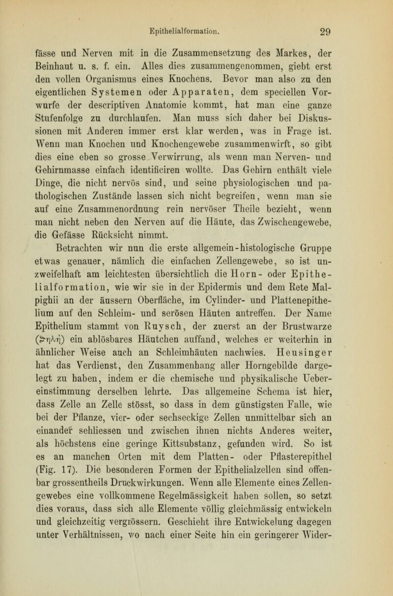 fasse und Nerven mit in die Zusammensetzung des Markes, der Beinhaut u. s. f. ein. Alles dies zusammengenommen, giebt erst den vollen Organismus eines Knochens. Bevor man also zu den eigentlichen Systemen oder Apparaten, dem speciellen Vor- wurfe der descriptiven Anatomie kommt, hat man eine ganze Stufenfolge zu durchlaufen. Man muss sich daher bei Diskus- sionen mit Anderen immer erst klar werden, was in Frage ist. Wenn man Knochen und Knochengewebe zusammenwirft, so gibt dies eine eben so grosse Verwirrung, als wenn man Nerven- und Gehirnmasse einfach identificiren wollte. Das Gehirn enthält viele Dinge, die nicht nervös sind, und seine physiologischen und pa- thologischen Zustände lassen sich nicht begreifen, wenn man sie auf eine Zusammenordnung rein nervöser Theile bezieht, wenn man nicht neben den Nerven auf die Häute, das Zwischengewebe, die Gefässe Rücksicht nimmt. Betrachten wir nun die erste allgemein-histologische Gruppe etwas genauer, nämlich die einfachen Zellengewebe, so ist un- zweifelhaft am leichtesten übersichtlich die Hörn- oder Epithe- lialformation, wie wir sie in der Epidermis und dem Rete Mal- pighii an der äussern Oberfläche, im Cylinder- und Plattenepithe- lium auf den Schleim- und serösen Häuten antreffen. Der Name Epithelium stammt von Ruysch, der zuerst an der Brustwarze (^M]) ein ablösbares Häutchen auffand, welches er weiterhin in ähnlicher Weise auch an Schleimhäuten nachwies. Heusinger hat das Verdienst, den Zusammenhang aller Horngebilde darge- legt zu haben, indem er die chemische und physikalische Ueber- einstimmung derselben lehrte. Das allgemeine Schema ist hier, dass Zelle an Zelle stösst, so dass in dem günstigsten Falle, wie bei der PflaDze, vier- oder sechseckige Zellen unmittelbar sich an einander sehliessen und zwischen ihnen nichts Anderes weiter, als höchstens eine geringe Kittsubstanz, gefunden wird. So ist es an manchen Orten mit dem Platten- oder Pflasterepithel (Fig. 17). Die besonderen Formen der Epithelialzellen sind offen- bar grossentheils Druckwirkungen. Wenn alle Elemente eines Zellen- gewebes eine vollkommene Regelmässigkeit haben sollen, so setzt dies voraus, dass sich alle Elemente völlig gleichmässig entwickeln und gleichzeitig vergrössern. Geschieht ihre Entwickelung dagegen unter Verhältnissen, wo nach einer Seite hin ein geringerer Wider-