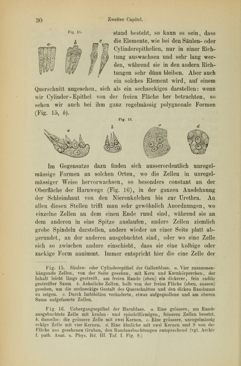 stand besteht, so kann es sein, dass die Elemente, wie bei den Säulen- oder m W Cylinderepithelien, nur in einer Rich- tung auswachsen und sehr lang wer- den, während sie in den andern Eich- tungen sehr dünn bleiben. Aber auch ein solches Element wird, auf einem Querschnitt angesehen, sich als ein sechseckiges darstellen: wenn wir Cylinder-Epithel von der freien Fläche her betrachten, so sehen wir auch bei ihm ganz regelmässig polygnonale Formen (Fig. 15, b). Fig. 16. I Im Gegensatze dazu finden sich ausserordentlich unregel- mässige Formen an solchen Orten, wo die Zellen in unregel- mässiger Weise hervorwachsen, so besonders constant an der Oberfläche der Harnwege (Fig. 16), in der ganzen Ausdehnung der Schleimhaut von den Nierenkelchen bis zur Urethra. An allen diesen Stellen trifft man sehr gewöhnlich Anordnungen, wo einzelne Zellen an dem einen Ende rund sind, während sie an dem anderen in eine Spitze auslaufen, andere Zellen ziemlich grobe Spindeln darstellen, andere wieder an einer Seite platt ab- gerundet, an der anderen ausgebuchtet sind, oder wo eine Zelle sich so zwischen andere einschiebt, dass sie eine kolbige oder zackige Form annimmt. Immer entspricht hier die eine Zelle der Fig. 15. Säulen- oder Cylinderepithel der Gallenblase, a. Vier zusammen- hängende Zellen, von der Seite gesehen, mit Kern und Kernkörperchen, der Inhalt leicht längs gestreift, am freien Rande (oben) ein dickerer, fein radiär gestreifter Saum. b. Aehnliche Zellen, halb von der freien Fläche (oben, aussen) gesehen, um die sechseckige Gestalt des Querschnittes und den dicken Randsaum zu zeigen, c. Durch Imbibition veränderte, etwas aufgequollene und am oberen Saum aufgefaserte Zellen. Fig. 16. Uebergangsepithel der Harnblase, a. Eine grössere, am Rande ausgebuchtete Zelle mit keulen- und spindelförmigen, feineren Zellen besetzt, b. dasselbe: die grössere Zelle mit zwei Kernen, c. Eine grössere, unregelmässig eckige Zelle mit vier Kernen, d. Eine ähnliche mit zwei Kernen und 9 von der Fl;i<he ans gesehenen Gruben, den Randausbuchtungen entsprechend (vgl. Archiv f. path. Anat. u. Phys. Bd. III. Tat. I. Fig. 8.)