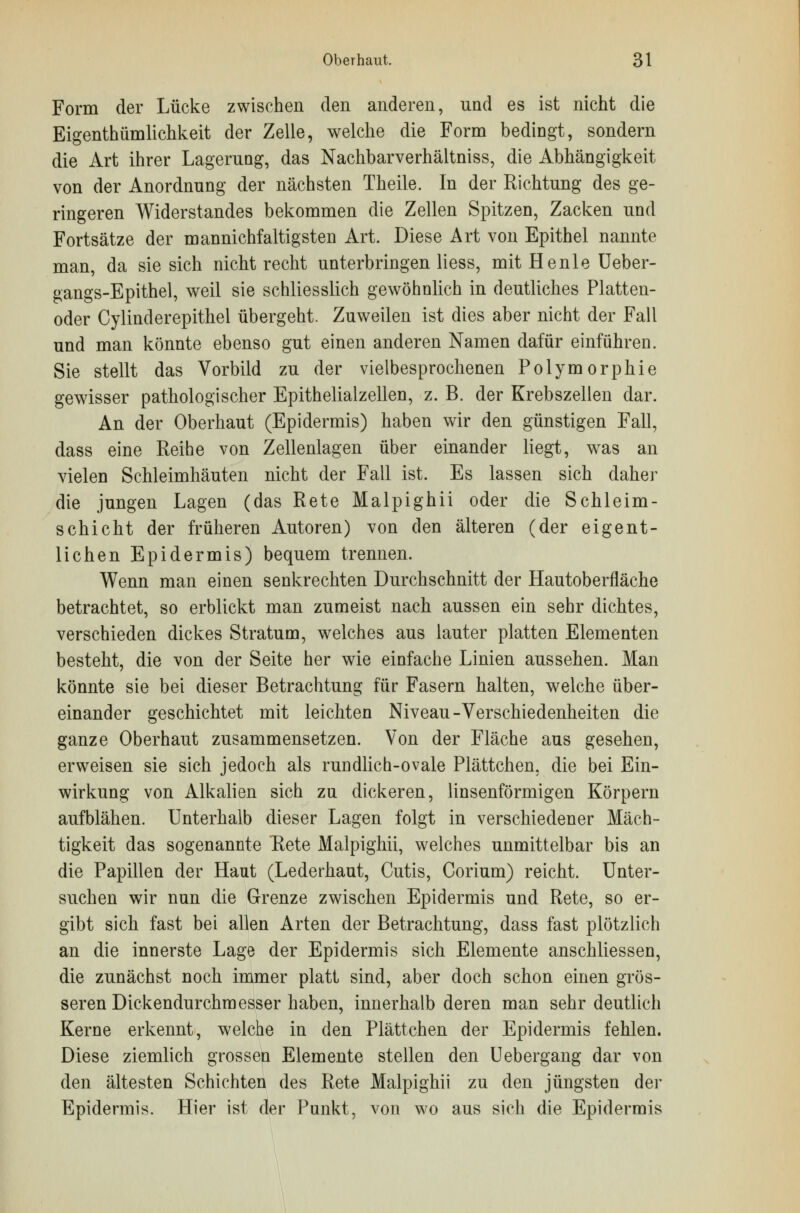 Form der Lücke zwischen den anderen, und es ist nicht die Eigentümlichkeit der Zelle, welche die Form bedingt, sondern die Art ihrer Lagerung, das Nachbarverhältniss, die Abhängigkeit von der Anordnung der nächsten Theile. In der Richtung des ge- ringeren Widerstandes bekommen die Zellen Spitzen, Zacken und Fortsätze der mannichfaltigsten Art. Diese Art von Epithel nannte man, da sie sich nicht recht unterbringen Hess, mit He nie Ueber- gangs-Epithel, weil sie schliesslich gewöhnlich in deutliches Platten- oder Cylinderepithel übergeht. Zuweilen ist dies aber nicht der Fall und man könnte ebenso gut einen anderen Namen dafür einführen. Sie stellt das Vorbild zu der vielbesprochenen Polymorphie gewisser pathologischer Epithelialzellen, z. B. der Krebszellen dar. An der Oberhaut (Epidermis) haben wir den günstigen Fall, dass eine Reihe von Zellenlagen über einander liegt, was an vielen Schleimhäuten nicht der Fall ist. Es lassen sich daher die jungen Lagen (das Rete Malpighii oder die Schleim- schicht der früheren Autoren) von den älteren (der eigent- lichen Epidermis) bequem trennen. Wenn man einen senkrechten Durchschnitt der Hautoberfläche betrachtet, so erblickt man zumeist nach aussen ein sehr dichtes, verschieden dickes Stratum, welches aus lauter platten Elementen besteht, die von der Seite her wie einfache Linien aussehen. Man könnte sie bei dieser Betrachtung für Fasern halten, welche über- einander geschichtet mit leichten Niveau-Verschiedenheiten die ganze Oberhaut zusammensetzen. Von der Fläche aus gesehen, erweisen sie sich jedoch als rundlich-ovale Plättchen, die bei Ein- wirkung von Alkalien sich zu dickeren, linsenförmigen Körpern aufblähen. Unterhalb dieser Lagen folgt in verschiedener Mäch- tigkeit das sogenannte Rete Malpighii, welches unmittelbar bis an die Papillen der Haut (Lederhaut, Cutis, Corium) reicht. Unter- suchen wir nun die Grenze zwischen Epidermis und Rete, so er- gibt sich fast bei allen Arten der Betrachtung, dass fast plötzlich an die innerste Lage der Epidermis sich Elemente anschliessen, die zunächst noch immer platt sind, aber doch schon einen grös- seren Dickendurchmesser haben, innerhalb deren man sehr deutlich Kerne erkennt, welche in den Plättchen der Epidermis fehlen. Diese ziemlich grossen Elemente stellen den Uebergang dar von den ältesten Schichten des Rete Malpighii zu den jüngsten der Epidermis. Hier ist der Punkt, von wo aus sich die Epidermis