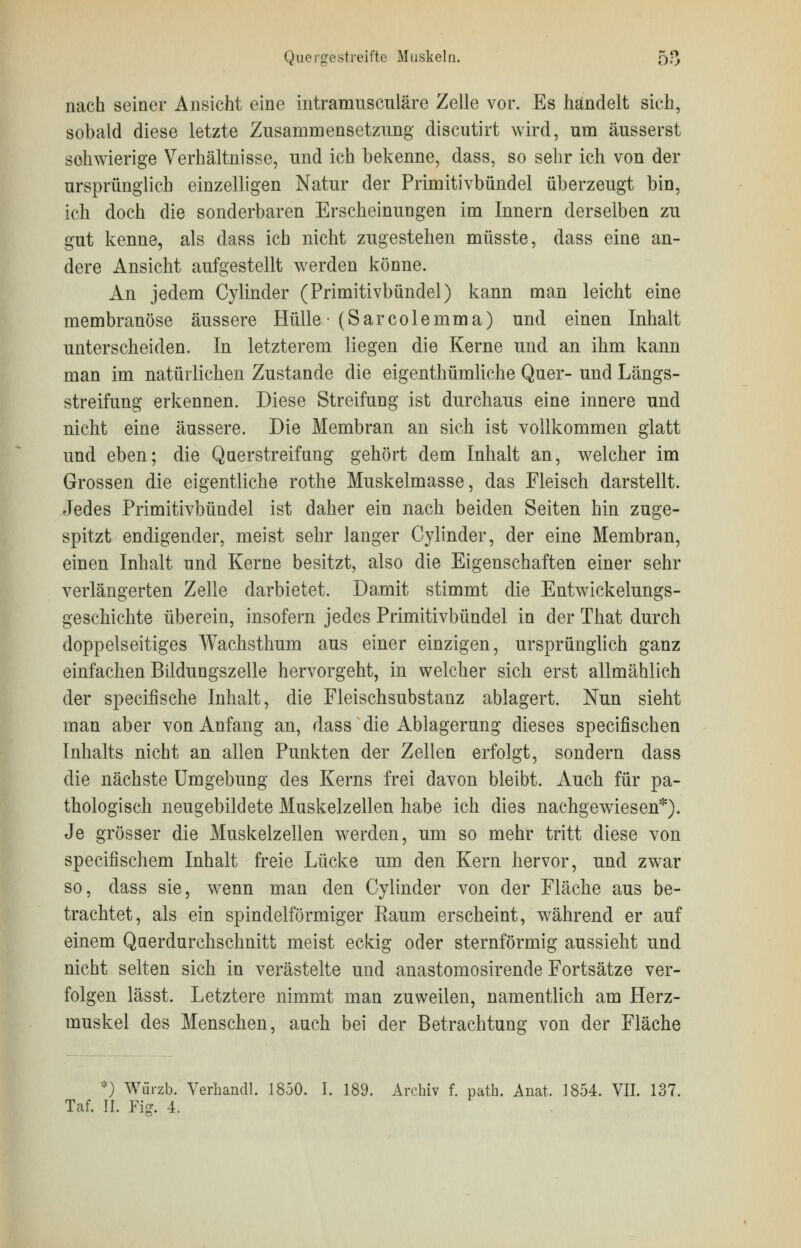 nach seiner Ansicht eine intramnsciliare Zelle vor. Es handelt sich, sobald diese letzte Zusammensetzung discutirt wird, um äusserst schwierige Verhältnisse, und ich bekenne, dass, so sehr ich von der ursprünglich einzelligen Natur der Primitivbündel überzeugt bin, ich doch die sonderbaren Erscheinungen im Innern derselben zu gut kenne, als dass ich nicht zugestehen müsste, dass eine an- dere Ansicht aufgestellt werden könne. An jedem Cylinder (Primitivbündel) kann man leicht eine membranöse äussere Hülle ■ (Sarcolemma) und einen Inhalt unterscheiden. In letzterem liegen die Kerne und an ihm kann man im natürlichen Zustande die eigentümliche Quer- und Längs- streifung erkennen. Diese Streifung ist durchaus eine innere und nicht eine äussere. Die Membran an sich ist vollkommen glatt und eben; die Qaerstreifung gehört dem Inhalt an, welcher im Grossen die eigentliche rothe Muskelmasse, das Fleisch darstellt. Jedes Primitivbündel ist daher ein nach beiden Seiten hin zuge- spitzt endigender, meist sehr langer Cylinder, der eine Membran, einen Inhalt und Kerne besitzt, also die Eigenschaften einer sehr verlängerten Zelle darbietet. Damit stimmt die Entwickelungs- geschichte überein, insofern jedes Primitivbündel in der That durch doppelseitiges Wachsthum aus einer einzigen, ursprünglich ganz einfachen Bildungszelle hervorgeht, in welcher sich erst allmählich der specifische Inhalt, die Fleischsubstanz ablagert. Nun sieht man aber von Anfang an, dass die Ablagerung dieses specifischen Inhalts nicht an allen Punkten der Zellen erfolgt, sondern dass die nächste Umgebung des Kerns frei davon bleibt. Auch für pa- thologisch neugebildete Muskelzellen habe ich dies nachgewiesen*). Je grösser die Muskelzellen werden, um so mehr tritt diese von speeifischem Inhalt freie Lücke um den Kern hervor, und zwar so, dass sie, wenn man den Cylinder von der Fläche aus be- trachtet, als ein spindelförmiger Raum erscheint, während er auf einem Qaerdurchschnitt meist eckig oder sternförmig aussieht und nicht selten sich in verästelte und anastomosirende Fortsätze ver- folgen lässt. Letztere nimmt man zuweilen, namentlich am Herz- muskel des Menschen, auch bei der Betrachtung von der Fläche *) Würzb. Verliandl. 1850. I. 189. Archiv f. path. Anat. 1854. VII. 137. Taf. II. Fig. 4.
