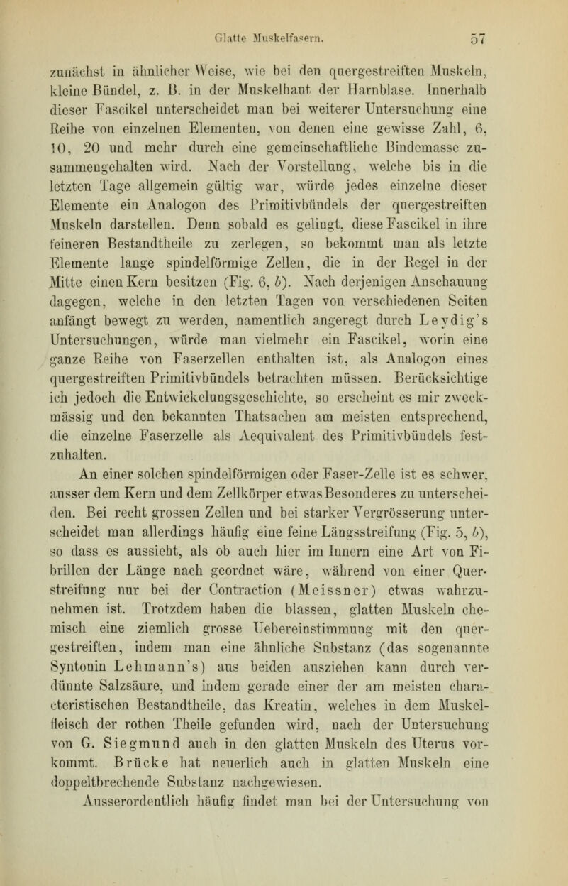 zunächst in ähnlicher Weise, wie bei den quergestreiften Muskeln, kleine Bündel, z. B. in der Muskelhaut der Harnblase. Innerhalb dieser Fascikel unterscheidet man bei weiterer Untersuchung eine Reihe von einzelnen Elementen, von denen eine gewisse Zahl, 6, 10, 20 und mehr durch eine gemeinschaftliche Bindemasse zu- sammengehalten wird. Nach der Vorstellung, welche bis in die letzten Tage allgemein gültig war, würde jedes einzelne dieser Elemente ein Analogon des Primitivbündels der quergestreiften Muskeln darstellen. Denn sobald es gelingt, diese Fascikel in ihre feineren Bestandtheile zu zerlegen, so bekommt man als letzte Elemente lange spindelförmige Zellen, die in der Regel in der Mitte einen Kern besitzen (Fig. 6, b). Nach derjenigen Anschauung dagegen, welche in den letzten Tagen von verschiedenen Seiten anfängt bewegt zu werden, namentlich angeregt durch Leydig's Untersuchungen, würde man vielmehr ein Fascikel, worin eine ganze Reihe von Faserzellen enthalten ist, als Analogon eines quergestreiften Primitivbündels betrachten müssen. Berücksichtige ich jedoch die Entwickelungsgeschichte, so erscheint es mir zweck- mässig und den bekannten Thatsachen am meisten entsprechend, die einzelne Faserzelle als Aequivalent des Primitivbündels fest- zuhalten. An einer solchen spindelförmigen oder Faser-Zelle ist es schwer, ausser dem Kern und dem Zellkörper etwas Besonderes zu unterschei- den. Bei recht grossen Zellen und bei starker Vergrösserung unter- scheidet man allerdings häufig eine feine Längsstreifung (Fig. 5, /;), so dass es aussieht, als ob auch hier im Innern eine Art von Fi- brillen der Länge nach geordnet wäre, während von einer Quer- streifung nur bei der Contraction (Meissner) etwas wahrzu- nehmen ist. Trotzdem haben die blassen, glatten Muskeln che- misch eine ziemlich grosse Uebereinstimmung mit den quer- gestreiften, indem man eine ähnliche Substanz (das sogenannte Syntonin Lehmann's) aus beiden ausziehen kann durch ver- dünnte Salzsäure, und indem gerade einer der am meisten chara- cteristischen Bestandtheile, das Kreatin, welches in dem Muskel- fleisch der rothen Theile gefunden wird, nach der Untersuchung von G. Siegmund auch in den glatten Muskeln des Uterus vor- kommt. Brücke hat neuerlich auch in glatten Muskeln eine doppeltbrechende Substanz nachgewiesen. Ausserordentlich häufig findet man bei der Untersuchung von