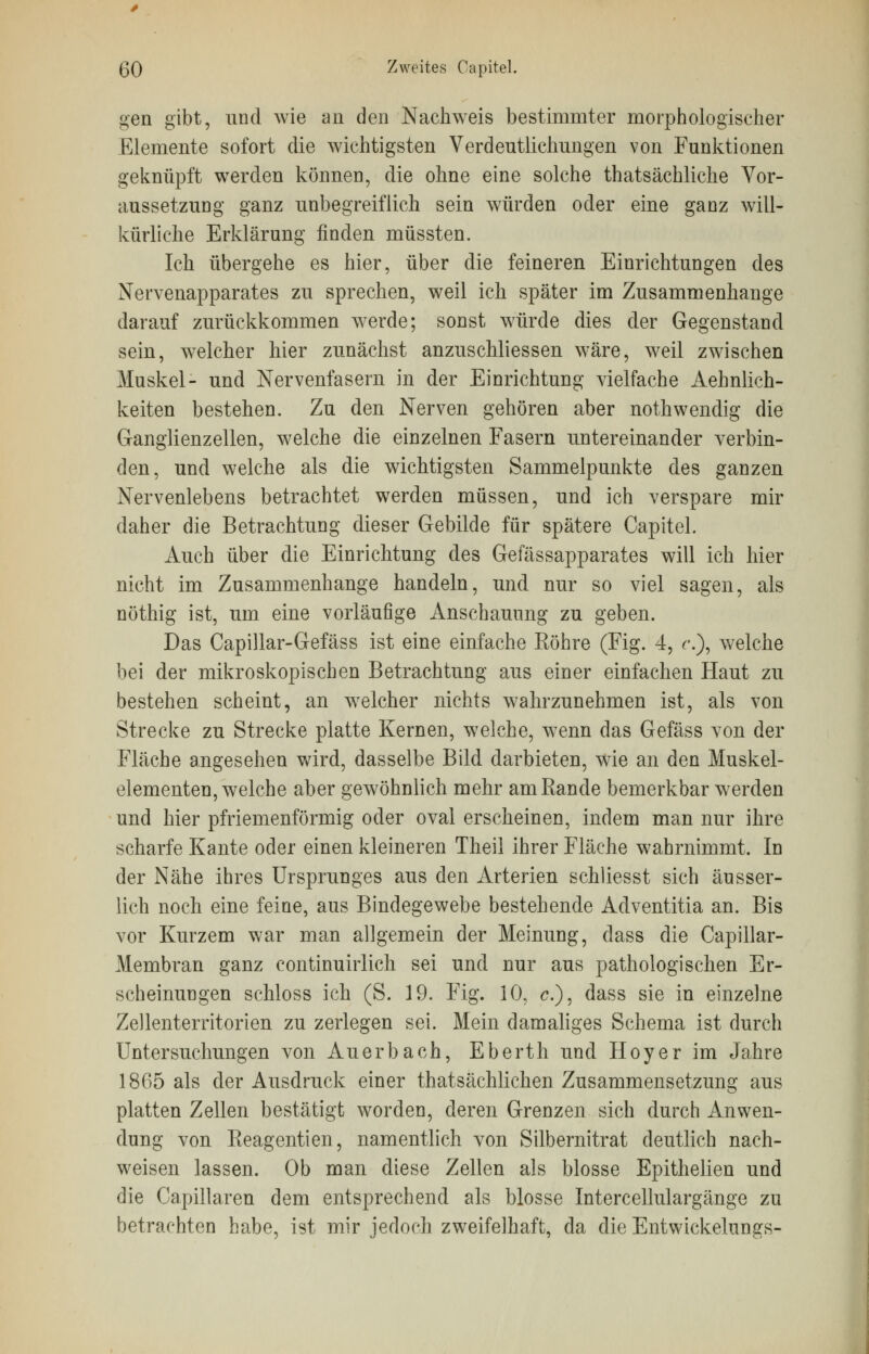 gen gibt, und wie an den Nachweis bestimmter morphologischer Elemente sofort die wichtigsten Verdeutlichungen von Funktionen geknüpft werden können, die ohne eine solche thatsächliche Vor- aussetzung ganz unbegreiflich sein würden oder eine ganz will- kürliche Erklärung finden müssten. Ich übergehe es hier, über die feineren Einrichtungen des Nervenapparates zu sprechen, weil ich später im Zusammenhange darauf zurückkommen werde; sonst würde dies der Gegenstand sein, welcher hier zunächst anzuschliessen wäre, weil zwischen Muskel- und Nervenfasern in der Einrichtung vielfache Aehnlich- keiten bestehen. Zu den Nerven gehören aber nothwendig die Ganglienzellen, welche die einzelnen Fasern untereinander verbin- den, und welche als die wichtigsten Sammelpunkte des ganzen Nervenlebens betrachtet werden müssen, und ich verspare mir daher die Betrachtung dieser Gebilde für spätere Capitel. Auch über die Einrichtung des Gefässapparates will ich hier nicht im Zusammenhange handeln, und nur so viel sagen, als nöthig ist, um eine vorläufige Anschauung zu geben. Das Capillar-Gefäss ist eine einfache Röhre (Fig. 4, ?.), welche bei der mikroskopischen Betrachtung aus einer einfachen Haut zu bestehen scheint, an welcher nichts wahrzunehmen ist, als von Strecke zu Strecke platte Kernen, welche, wenn das Gefäss von der Fläche angesehen wird, dasselbe Bild darbieten, wie an den Muskel- elementen, welche aber gewöhnlich mehr am Rande bemerkbar werden und hier pfriemenförmig oder oval erscheinen, indem man nur ihre scharfe Kante oder einen kleineren Theil ihrer Fläche wahrnimmt. In der Nähe ihres Ursprunges aus den Arterien schliesst sich äusser- lich noch eine feine, aus Bindegewebe bestehende Adventitia an. Bis vor Kurzem war man allgemein der Meinung, dass die Capillar- Membran ganz continuirlich sei und nur aus pathologischen Er- scheinungen schloss ich (S. 19. Fig. 10, c), dass sie in einzelne Zellenterritorien zu zerlegen sei. Mein damaliges Schema ist durch Untersuchungen von Auerbach, Eberth und Hoyer im Jahre 1865 als der Ausdruck einer thatsächlichen Zusammensetzung aus platten Zellen bestätigt worden, deren Grenzen sich durch Anwen- dung von Reagentien, namentlich von Silbernitrat deutlich nach- weisen lassen. Ob man diese Zellen als blosse Epithelien und die Capillaren dem entsprechend als blosse Intercellulargänge zu betrachten habe, ist mir jedoch zweifelhaft, da die Entwickelungs-