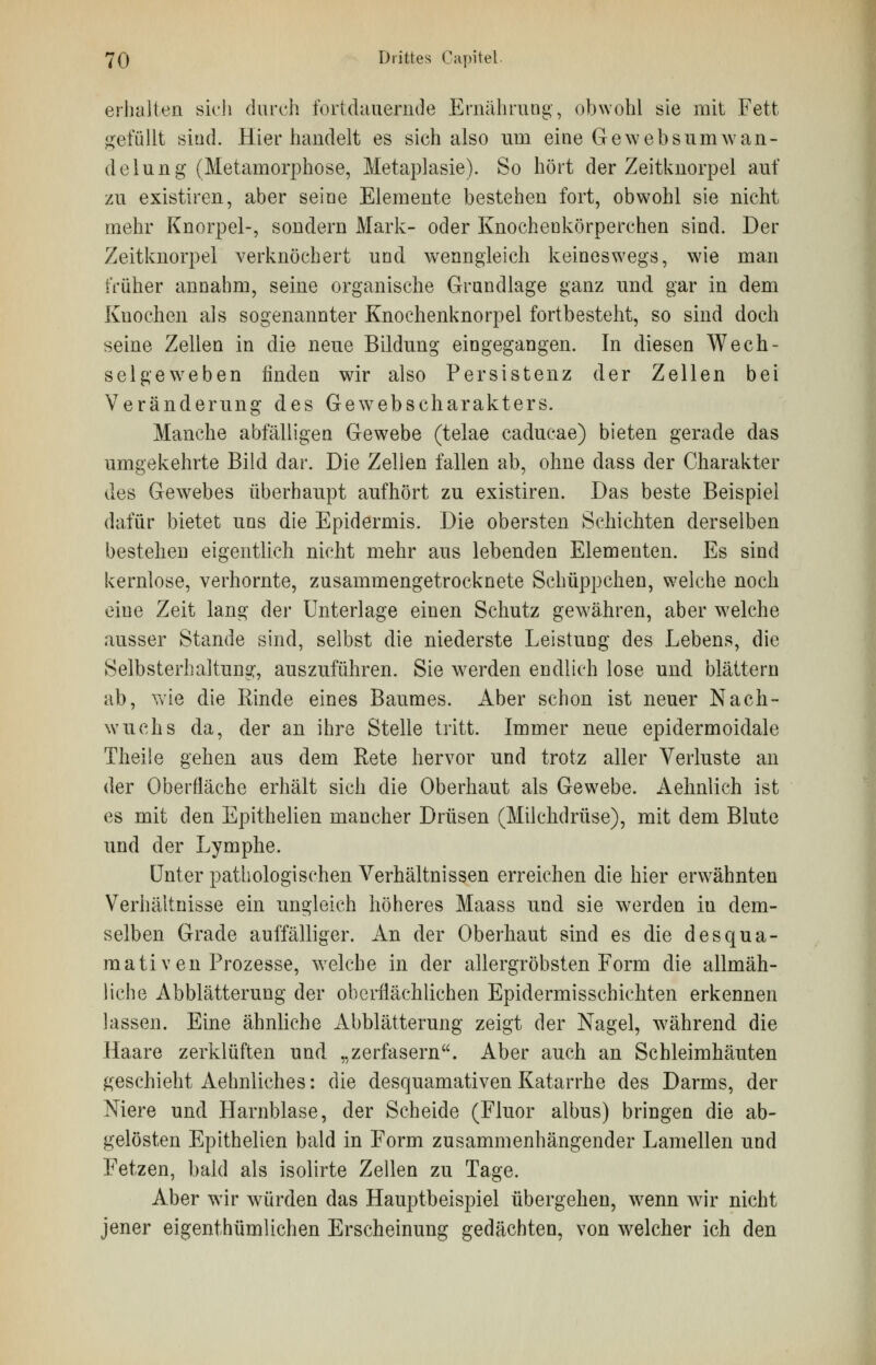 erhalten sieh durch fortdauernde Ernährung-, obwohl sie mit Fett gefüllt siud. Hier handelt es sich also um eine Gewebsumwan- delung (Metamorphose, Metaplasie). So hört der Zeitknorpel auf zu existiren, aber seine Elemente bestehen fort, obwohl sie nicht mehr Knorpel-, sondern Mark- oder Knochenkörperchen sind. Der Zeitknorpel verknöchert und wenngleich keineswegs, wie man früher annahm, seine organische Grundlage ganz und gar in dem Knochen als sogenannter Knochenknorpel fortbesteht, so sind doch seine Zellen in die neue Bildung eingegangen. In diesen Wech- selgeweben finden wir also Persistenz der Zellen bei Veränderung des Gewebscharakters. Manche abfälligen Gewebe (telae cadueae) bieten gerade das umgekehrte Bild dar. Die Zellen fallen ab, ohne dass der Charakter des Gewebes überhaupt aufhört zu existiren. Das beste Beispiel dafür bietet uns die Epidermis. Die obersten Schichten derselben bestehen eigentlich nicht mehr aus lebenden Elementen. Es sind kernlose, verhornte, zusammengetrocknete Schüppchen, welche noch eine Zeit lang der Unterlage einen Schutz gewähren, aber welche ausser Stande sind, selbst die niederste Leistung des Lebens, die Selbsterhaltung, auszuführen. Sie werden endlich lose und blättern ab, wie die Rinde eines Baumes. Aber schon ist neuer Nach- wuchs da, der an ihre Stelle tritt. Immer neue epidermoidale Theile gehen aus dem Rete hervor und trotz aller Verluste an der Oberfläche erhält sich die Oberhaut als Gewebe. Aehnlich ist es mit den Epithelien mancher Drüsen (Milchdrüse), mit dem Blute und der Lymphe. Unter pathologischen Verhältnissen erreichen die hier erwähnten Verhältnisse ein ungleich höheres Maass und sie werden iu dem- selben Grade auffälliger. An der Oberhaut sind es die desqua- mativen Prozesse, welche in der allergrobsten Form die allmäh- liche Abblätterung der oberflächlichen Epidermisschichten erkennen lassen. Eine ähnliche Abblätterung zeigt der Nagel, während die Haare zerklüften und „zerfasern. Aber auch an Schleimhäuten geschieht Aehnliches: die desquamativen Katarrhe des Darms, der Niere und Harnblase, der Scheide (Fluor albus) bringen die ab- gelösten Epithelien bald in Form zusammenhängender Lamellen und Fetzen, bald als isolirte Zellen zu Tage. Aber wir würden das Hauptbeispiel übergehen, wenn wir nicht jener eigenthümlichen Erscheinung gedächten, von welcher ich den