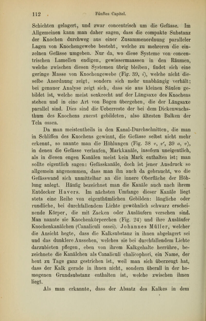 Schichten gelagert, und zwar concentrisch um die Gefässe. Im Allgemeinen kann man daher sagen, dass die compakte Substanz der Knochen durchweg aus einer Zusammenordnung paralleler Lagen von Knochengewebe besteht, welche zu mehreren die ein- zelnen Gefässe umgeben. Nur da, wo diese Systeme von concen- trischen Lamellen endigen, gewissermaassen in den Räumen, welche zwischen diesen Systemen übrig bleiben, findet sich eine geringe Masse von Knochengewebe (Fig. 39, i), welche nicht die- selbe Anordnung zeigt, sondern sich mehr unabhängig verhält; bei genauer Analyse zeigt sich, dass sie aus kleinen Sänlen ge- bildet ist, welche meist senkrecht auf der Längsaxe des Knochens stehen und in eine Art von Bogen übergehen, die der Längsaxe parallel sind. Dies sind die Ueberreste der bei dem Dickenwachs- thum des Knochens zuerst gebildeten, also ältesten Balken der Tela ossea. Da man meistentheils in den Kanal-Durchsclinitten, die man in Schliffen des Knochens gewinnt, die Gefässe selbst nicht mehr erkennt, so nannte man die Höhlungen (Fig. 38 v, v\ 39 a, v), in denen die Gefässe verlaufen, Markkanäle, insofern uneigentlich, als in diesen engen Kanälen meist kein Mark enthalten ist; man sollte eigentlich sagen: Gefässkanäle, doch ist jener Ausdruck so allgemein angenommen, dass man ihn auch da gebraucht, wo die Gefässwand sich unmittelbar an die innere Oberfläche der Höh- lung anlegt. Häufig bezeichnet man die Kanäle auch nach ihrem Entdecker Havers. Im nächsten Umfange dieser Kanäle liegt stets eine Reihe von eigenthümlichen Gebilden: längliche oder rundliche, bei durchfallendem Lichte gewöhnlich schwarz erschei- nende Körper, die mit Zacken oder Ausläufern versehen sind. Man nannte sie Knochenkörperchen (Fig. 24) und ihre Ausläufer Knochenkanälchen (Canaliculi ossei). Johannes Müller, welcher die Ansicht hegte, dass die Kalksubstanz in ihnen abgelagert sei und das dunklere Aussehen, welches sie bei durchfallendem Lichte darzubieten pflegen, eben von ihrem Kalkgehalte herrühre, be- zeichnete die Kanälchen als Canaliculi chalicophori, ein Name, der heut zu Tage ganz gestrichen ist, weil man sich überzeugt hat, dass der Kalk gerade in ihnen nicht, sondern überall in der ho- mogenen Grundsubstanz enthalten ist, welche zwischen ihnen liegt. Als man erkannte, dass der Absatz des Kalkes in dem