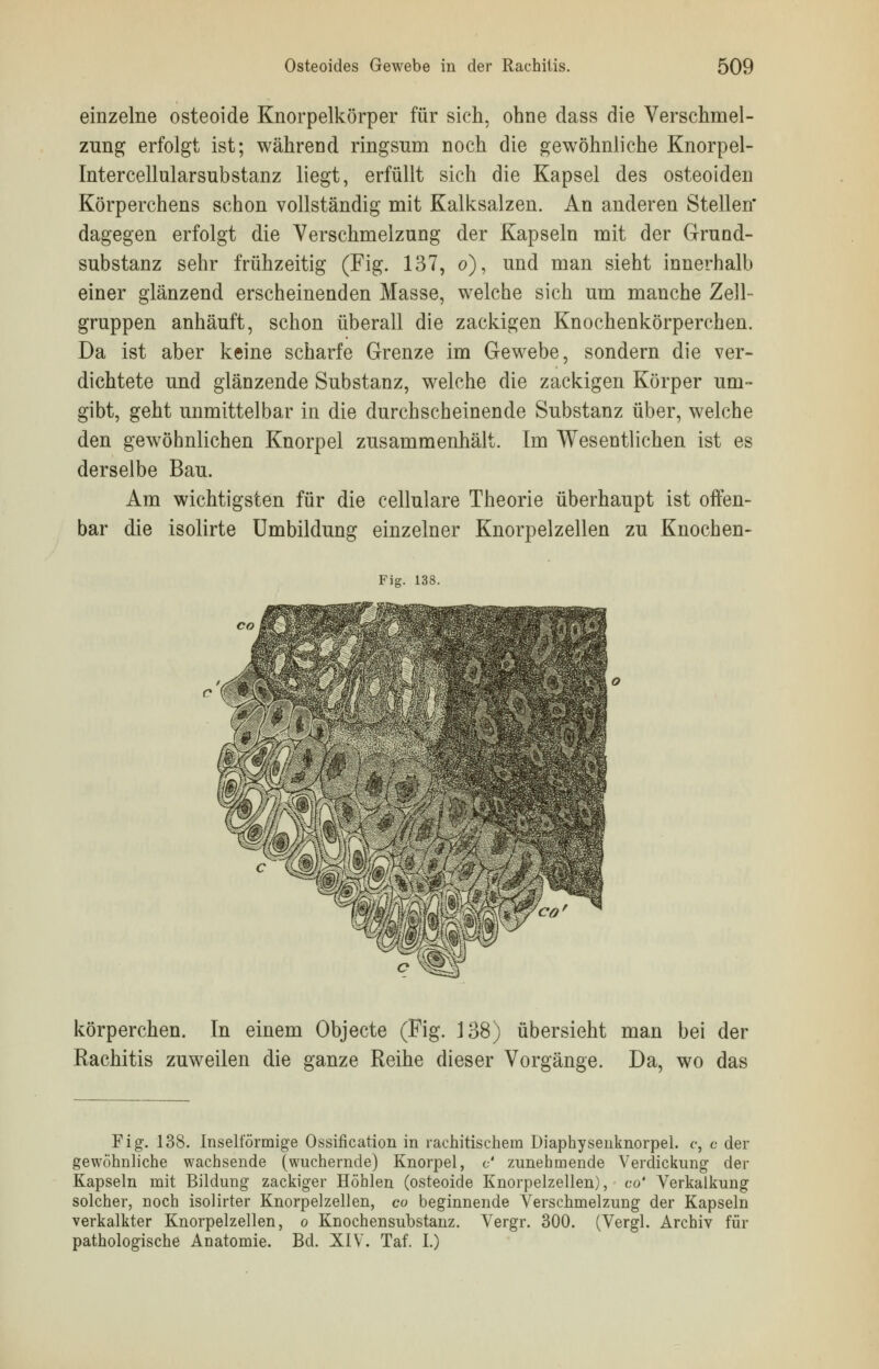 einzelne osteoide Knorpelkörper für sich, ohne dass die Verschmel- zung erfolgt ist; während ringsum noch die gewöhnliche Knorpel- Intercellularsubstanz liegt, erfüllt sich die Kapsel des osteoiden Körperchens schon vollständig mit Kalksalzen. An anderen Stellen dagegen erfolgt die Verschmelzung der Kapseln mit der Grund- substanz sehr frühzeitig (Fig. 137, o), und man sieht innerhalb einer glänzend erscheinenden Masse, welche sich um manche Zell- gruppen anhäuft, schon überall die zackigen Knochenkörperchen. Da ist aber keine scharfe Grenze im Gewebe, sondern die ver- dichtete und glänzende Substanz, welche die zackigen Körper um- gibt, geht unmittelbar in die durchscheinende Substanz über, welche den gewöhnlichen Knorpel zusammenhält. Im Wesentlichen ist es derselbe Bau. Am wichtigsten für die cellulare Theorie überhaupt ist offen- bar die isolirte Umbildung einzelner Knorpelzellen zu Knochen- Fig. 138. körperchen. In einem Objecte (Fig. 138) übersieht man bei der Rachitis zuweilen die ganze Reihe dieser Vorgänge. Da, wo das Fig. 138. Inselförmige Ossifikation in rachitischem Diaphysenknorpel. c, e der gewöhnliche wachsende (wuchernde) Knorpel, c' zunehmende Verdickung der Kapseln mit Bildung zackiger Höhlen (osteoide Knorpelzellen), co' Verkalkung solcher, noch isolirter Knorpelzellen, co beginnende Verschmelzung der Kapseln verkalkter Knorpelzellen, o Knochensubstanz. Vergr. 300. (Vergl. Archiv für pathologische Anatomie. Bd. XIV. Taf. I.)