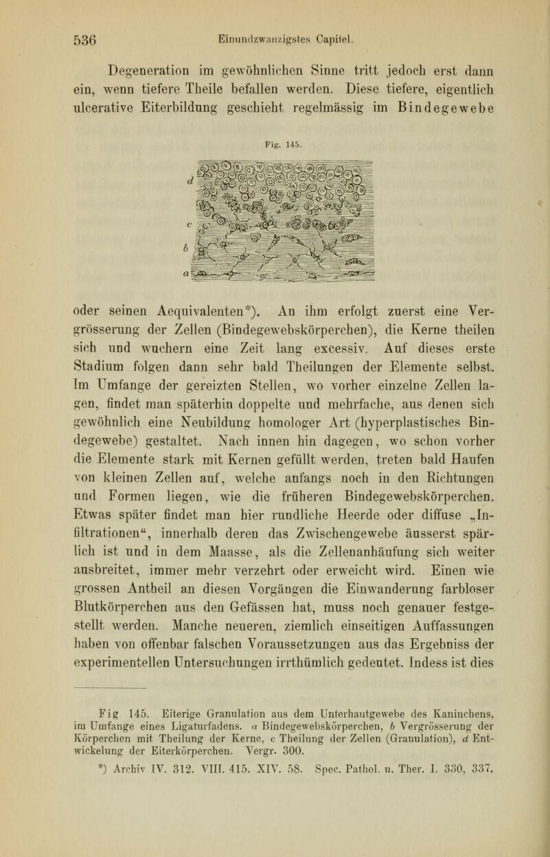 Degeneration im gewöhnlichen Sinne tritt jedoch erst dann ein, wenn tiefere Theile befallen werden. Diese tiefere, eigentlich ulcerative Eiterbildung geschieht regelmässig im Bindegewebe Fig. 145. oder seinen Aequivalenten*). An ihm erfolgt zuerst eine Ver- größerung der Zellen (Bindegewebskörperchen), die Kerne theilen sich und wuchern eine Zeit lang excessiv. Auf dieses erste Stadium folgen dann sehr bald Theilungen der Elemente selbst. Im Umfange der gereizten Stellen, wo vorher einzelne Zellen la- gen, findet man späterbin doppelte und mehrfache, aus denen sich gewöhnlich eine Neubildung homologer Art (hyperplastisches Bin- degewebe) gestaltet. Nach innen hin dagegen, wo schon vorher die Elemente stark mit Kernen gefüllt werden, treten bald Haufen von kleinen Zellen auf, welche anfangs noch in den Richtungen nnd Formen liegen, wie die früheren Bindegewebskörperchen. Etwas später findet man hier rundliche Heerde oder diffuse „In- ßltrationen, innerhalb deren das Zwischengewebe äusserst spär- lich ist und in dem Maasse, als die Zellen an häufung sich weiter ausbreitet, immer mehr verzehrt oder erweicht wird. Einen wie grossen Antheil an diesen Vorgängen die Einwanderung farbloser Blutkörpereben aus den Gefässen hat, muss noch genauer festge- stellt werden. Manche neueren, ziemlich einseitigen Auffassungen haben von offenbar falschen Voraussetzungen aus das Ergebniss der experimentellen Untersuchungen irrthümlich gedeutet. Indess ist dies Fig 145. Eiterige Granulation aus dem Unterhautgewebe des Kaninchens, im Umfange eines Ligaturfadens. « Bindegewebskörperchen, b Vergrößerung der Körperchen mit Theilung der Kerne, c Theilung der Zellen (Granulation), d Ent- wicklung der Eiterkörperchen. Vergr. 300. *) Archiv IV. 312. VIII. 415. XIV. 58. Spec. Pathol. u. Ther. I. 330, 337.
