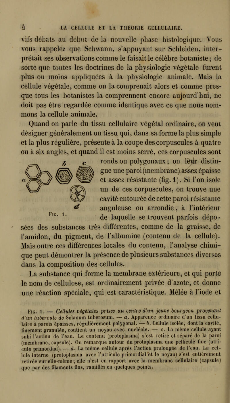 vifs débats au début de la nouvelle phase histologie]ue. Vous vous rappelez que Schwann, s'appuyant sur Schleiden, inter- prétait ses observations comme le faisait le célèbre botaniste ; de sorte que toutes les doctrines de la physiologie végétale furent plus ou moins appliquées à la physiologie animale. Mais la cellule végétale, comme on la comprenait alors et comme pres- que tous les botanistes la comprennent encore aujourd'hui, ne doit pas être regardée comme identique avec ce que nous nom- mons la cellule animale. Quand on parle du tissu cellulaire végétal ordinaire, on veut désigner généralement un tissu qui, dans sa forme la plus simple et la plus régulière, présente à la coupe des corpuscules à quatre ou à six angles, et quand il est moins serré, ces corpuscules sont ronds ou polygonaux ; on leur distin- gue une paroi (membrane) assez épaisse et assez résistante (fig. 1). Si l'on isole un de ces corpuscules, on trouve une cavité entourée de cette paroi résistante anguleuse ou arrondie, à l'intérieur *^'^* ^' de laquelle se trouvent parfois dépo- sées des substances très différentes, comme de la graisse, de l'amidon, du pigment, de l'albumine (contenu de la cellule). Mais outre ces différences locales du contenu, l'analyse chimi- que peut démontrer la présence de plusieurs substances diverses dans la composition des cellules. La substance qui forme la membrane extérieure, et qui porte le nom de cellulose, est ordinairement privée d'azote, et donne une réaction spéciale, qui est caractéristique. Mêlée à l'iode et PiG. 1. — Cellules végétales prises au centre d'un jeune bourgeon provenant d'un tubercule de Solanum tuberosum. — a. Apparence ordinaire d'un tissu cellu- laire à parois épaisses, régulièrement polygonal. — b. Cellule isolée, dont la cavité, Unement granulée, contient un noyau avec nucléole. — c. La môme cellule ayant subi l'action de l'eau. Le contenu (protoplasma) s'est retiré et séparé de la paroi (membrane, capsule). On remarque autour du protoplasma une pellicule fine (utri- cule primordial). — d. La même cellule après l'action prolongée de l'eau. La cel- lule interne (protoplasma avec l'utricule primordial et le noyau) s'est entièrement retirée sur elle-même; elle n'est en rapport avec la membrane cellulaire (capsule) que par des filaments fins, ramifiés en quelques points.