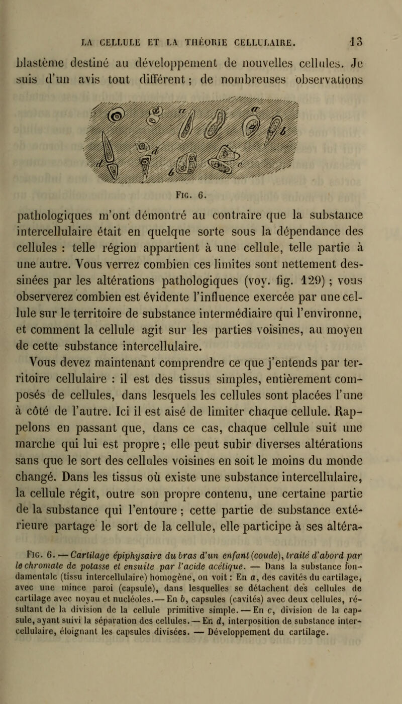 blcistènie destiné au développeiuent de nouvelles cellules. Je suis d'un avis tout différent ; de nombreuses observations FiG. 6. pathologiques m'ont démontré au contraire ({ue la substance intercellulaire était en quelque sorte sous la dépendance des cellules : telle région appartient à une cellule, telle partie à une autre. Vous verrez combien ces limites sont netteuient des- sinées par les altérations pathologiques (voy. fig. 129) ; vous observerez combien est évidente l'influence exercée par une cel- lule sur le territoire de substance intermédiaire qui l'environne, et comment la cellule agit sur les parties voisines, au moyen de cette substance intercellulaire. Vous devez maintenant comprendre ce que j'entends par ter- ritoire cellulaii-e : il est des tissus simples, entièrement com- posés de cellules, dans lesquels les cellules sont placées l'une à côté de l'autre. Ici il est aisé de limiter chaque cellule. Rap- pelons en passant que, dans ce cas, chaque cellule suit une marche qui lui est propre ; elle peut subir diverses altérations sans que le sort des cellules voisines en soit le moins du monde changé. Dans les tissus où existe une substance intercellulaire, la cellule régit, outre son propre contenu, une certaine partie de la substance qui l'entoure ; cette partie de substance exté- rieure partage le sort de la cellule, elle participe à ses altéra- Fig. 6. ^—Carlilage épiphysaire du bras d'un enfant (coudé)^ traité d'abord par lechromate de potasse et ensuite par l'acide acétique. — Dans la substance fon- damentale (tissu intercellulaire) homogène, on voit : En a, des cavités du cartilage^ avec une mince paroi (capsule), dans lesquelles se détachent des cellules de cartilage avec noyau et nucléoles.— En 6, capsules (cavités) avec deux cellules, ré- sultant de la division de la cellule primitive simple. — En c, division de la cap- sule, ayant suivi la séparation des cellules. — En d, interposition de substance inler- cellulaire, éloignant les capsules divisées. — Développement du cartilage.