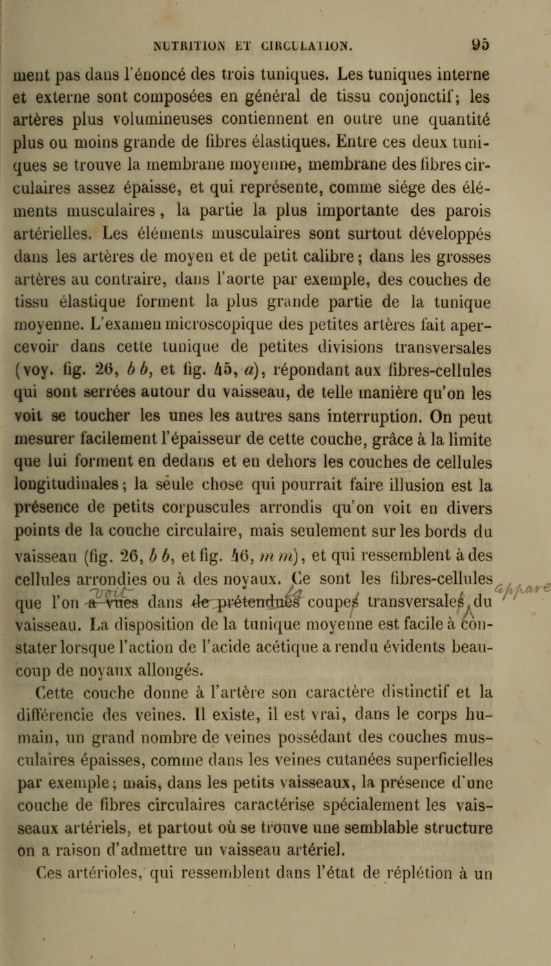 ment pas dans l'énoncé des trois tuniques. Les tuniques interne et externe sont composées en général de tissu conjonctil'; les artères plus volumineuses contiennent en outre une quantité plus ou moins grande de fibres élastiques. Entre ces deux tuni- ques se trouve la membrane moyenne, membrane des libres cir- culaires assez épaisse, et qui représente, comme siège des élé- ments musculaires, la partie la plus importante des parois artérielles. Les éléments musculaires sont surtout développés dans les artères de moyen et de petit calibre ; dans les grosses artères au contraire, dans l'aorte par exemple, des couches de tissu élastique forment la plus grande partie de la tunique moyenne. L'examen microscopique des petites artères fait aper- cevoir dans cette tunique de petites divisions transversales (voy. fig. 26, bb, et fig. 45, «), répondant aux fibres-cellules qui sont serrées autour du vaisseau, de telle manière qu'on les voit se toucher les unes les autres sans interruption. On peut mesurer facilement l'épaisseur de cette couche, grâce à la limite que lui forment en dedans et en dehors les couches de cellules longitudinales ; la seule chose qui pourrait faire illusion est la présence de petits corpuscules arrondis qu'on voit en divers points de la couche circulaire, mais seulement sur les bords du vaisseau (fig. 26, b é, et fig. /i6, m m), et qui ressemblent à des cellules arrondies ou à des novaux. Ce sont les fibres-cellules^ , , ^ que l'on-ar^vttes dans ^le-prétendues coupes transversales.du vaisseau. La disposition de la tunique moyenne est facile à con- stater lorsque l'action de l'acide acétique a rendu évidents beau- coup de noyaux allongés. Cette couche donne à l'artère son caractère distinctif et la différencie des veines. H existe, il est vrai, dans le corps hu- main, un grand nombre de veines possédant des couches mus- culaires épaisses, comme dans les veines cutanées superficielles par exemple; mais, dans les petits vaisseaux, la présence d'une couche de fibres circulaires caractérise spécialement les vais- seaux artériels, et partout où se trouve une semblable structure on a raison d'admettre un vaisseau artériel. Ces artérioles, qui ressemblent dans l'état de réplétion à un