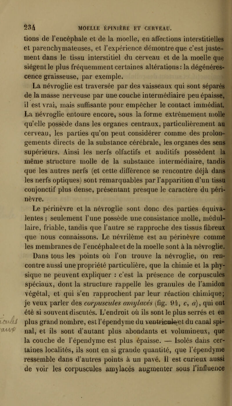 tions de l'encéphale et de la moelle, en affections interstitielles et parenchymateuses, et l'expérience démontre que c'est juste- ment dans le tissu interstitiel du cerveau et de la moelle que siègent le plus fréquemment certaines altérations : la dégénéres- cence graisseuse, par exemple. La névroglie est traversée par des vaisseaux qui sont séparés de la masse nerveuse par une couche intermédiaire peu épaisse, il est vrai, mais suffisante pour empêcher le contact immédiat. La névroglie entoure encore, sous la forme extrêmement molle qu'elle possède dans les organes centraux, particulièrement au cerveau, les parties qu'on peut considérer comme des prolon- gements directs de la substance cérébrale, les organes des sens supérieurs. Ainsi les nerfs olfactifs et auditifs possèdent la même structure molle de la substance intermédiaire, tandis que les autres nerfs (et cette différence se rencontre déjà dans les nerfs optiques) sont remarquables par l'apparition d'un tissu conjonctif plus dense, présentant presque le caractère du péri- nèvre. Le périnèvre et la névroglie sont donc des parties équiva- lentes ; seulement l'une possède une consistance molle, médul- laire, friable, tandis que l'autre se rapproche des tissus fibreux que nous connaissons. Le névrilème est au périnèvre comme les membranes de l'encéphale et de la moelle sont à la névroglie. Dans tous les points où l'on trouve la névroglie, on ren- contre aussi une propriété particulière, que la chimie et la phy- sique lie peuvent expliquer : c'est la présence de corpuscules spéciaux, dont la structure rappelle les granules de l'amidon végétal, et qui s'en rapprochent par leur réaction chimique; je veux parler des corpuscules amylacés (fig. 9/i, c, «), qui ont été si souvent discutés. L'endroit où ils sont le plus serrés et en plus grand nombre, est l'épendyme du ventriesk^et du canal spi- nal, et ils sont d'autant plus abondants et volumineux, que la couche de l'épendyme est plus épaisse. — Isolés dans cer- taines localités, ils sont en si grande quantité, que l'épendyme ressemble dans d'autres points à un pavé. Il est curieux aussi de voir les corpuscules amylacés augmenter sous l'influence