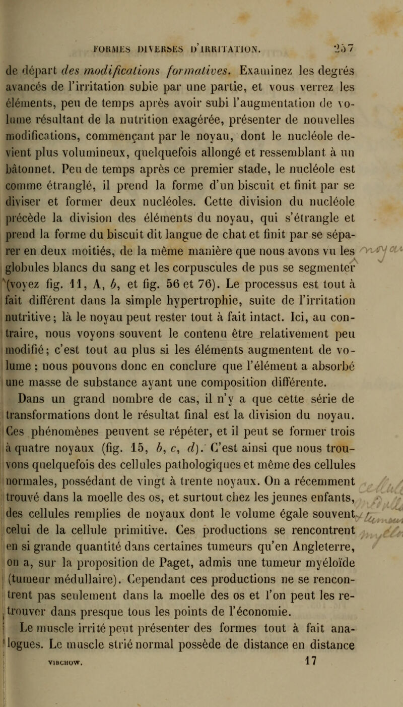 l'OKiMl-S DIVERSES iV IIUIJ J ATION. '207 de départ des modifications formatives. Examinez les degrés avancés de l'irritation subie par une partie, et vous verrez les éléments, peu de temps après avoir subi l'augmentation de vo- lume résultant de la nutrition exagérée, présenter de nouvelles modifications, commençant par le noyau, dont le nucléole de- vient plus volumineux, quelquefois allongé et ressemblant à un bâtonnet. Peu de temps après ce premier stade, le nucléole est comme étranglé, il prend la forme d'un biscuit et finit par se diviser et former deux nucléoles. Cette division du nucléole précède la division des éléments du noyau, qui s'étrangle et prend la forme du biscuit dit langue de chat et finit par se sépa- rer en deux moitiés, de la même manière que nous avons vu les ^yi^^^ globules blancs du sang et les corpuscules de pus se segmenter '(voyez fig. H, A, ^, et fig. 56 et 76). Le processus est tout à fait difi'érent dans la simple hypertrophie, suite de l'irritation nutritive; là le noyau peut rester tout à fait intact. Ici, au con- traire, nous voyons souvent le contenu être relativement peu modifié; c'est tout au plus si les éléments augmentent de vo- lume ; nous pouvons donc en conclure que l'élément a absorbé une masse de substance ayant une composition différente. Dans un grand nombre de cas, il n'y a que cette série de transformations dont le résultat final est la division du noyau. Ces phénomènes peuvent se répéter, et il peut se former trois à quatre noyaux (fig. 15, b, c, d}.' C'est ainsi que nous trou- vons quelquefois des cellules pathologiques et même des cellules normales, possédant de vingt à trente noyaux. On a récemment /. y trouvé dans la moelle des os, et surtout chez les jeunes enfants, des cellules remplies de noyaux dont le volume égale souvent ^ celui de la cellule primitive. Ces productions se rencontrent en si grande quantité dans certaines tumeurs qu'en Angleterre, on a, sur la proposition de Paget, admis une tumeur myéloïde (tumeur médullaire). Cependant ces productions ne se rencon- trent pas seulement dans la moelle des os et l'on peut les re- ^ trouver dans presque tous les points de l'économie. i Le muscle irrité peut présenter des formes tout à fait ana- 'logues. Le muscle strié normal possède de distance en distance VIBCHOW. 17