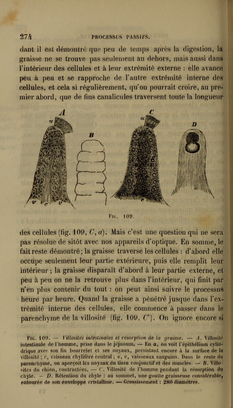 (lant il est démontré que peu de temps après la digestion, la graisse ne se trouve pas seulement au dehors, mais aussi dans l'intérieur des cellules et à leur extrémité externe : elle avance peu à peu et se rapproche de l'autre extrémité interne des cellules, et cela si régulièrement, qu'on pourrait croire, au pre- mier abord, que de fms canalicules traversent toute la longueur H Fk;. 109. des cellules (fig. 'J09, C, a). Mais c'est une question qui ne sera pas résolue de sitôt avec nos appareils d'optique. En somme, le fait reste démontré; la graisse traverse les cellules : d'abord elle occupe seulement leur partie extérieure, puis elle remplit leur intérieur ; la graisse disparaît d'abord à leur partie externe, et peu à peu on ne la retrouve plus dans l'intérieur, qui finit par n'en plus contenir du tout : on peut ainsi suivre le processus heure par heure. Quand la graisse a pénétré jusque dans l'ex- trémité interne des cellules, elle commence à passer dans le parenchyme de la villosité (fig. 109, C). On ignore encore si FiG. 109. — VillosUés inlesUnales el résorption de la graisse. — A. Villosit«'' intestinale de Fliomme, prise dans le jéjunum. -— En a, on voit l'épithélium cylin- drique avec son lin bourrelet et ses noyaux, persistant encore à la surface de la villosité ; c, vaisseau chylilere central ; v, v, vaisseaux sanguins. Dans le reste du parenchyme, on aperçoit les noyaux du tissu conjonctifet des muscles. — B. Villo- sités du chien, contractées. — ('. Villosité de l'homme pendant la résorption du chyle. — D. Rétention du chyle : au sommet, une goutte graisseuse considérable, entourée de son enveloppe cristalline. —Orossissement : 280 diamètres.