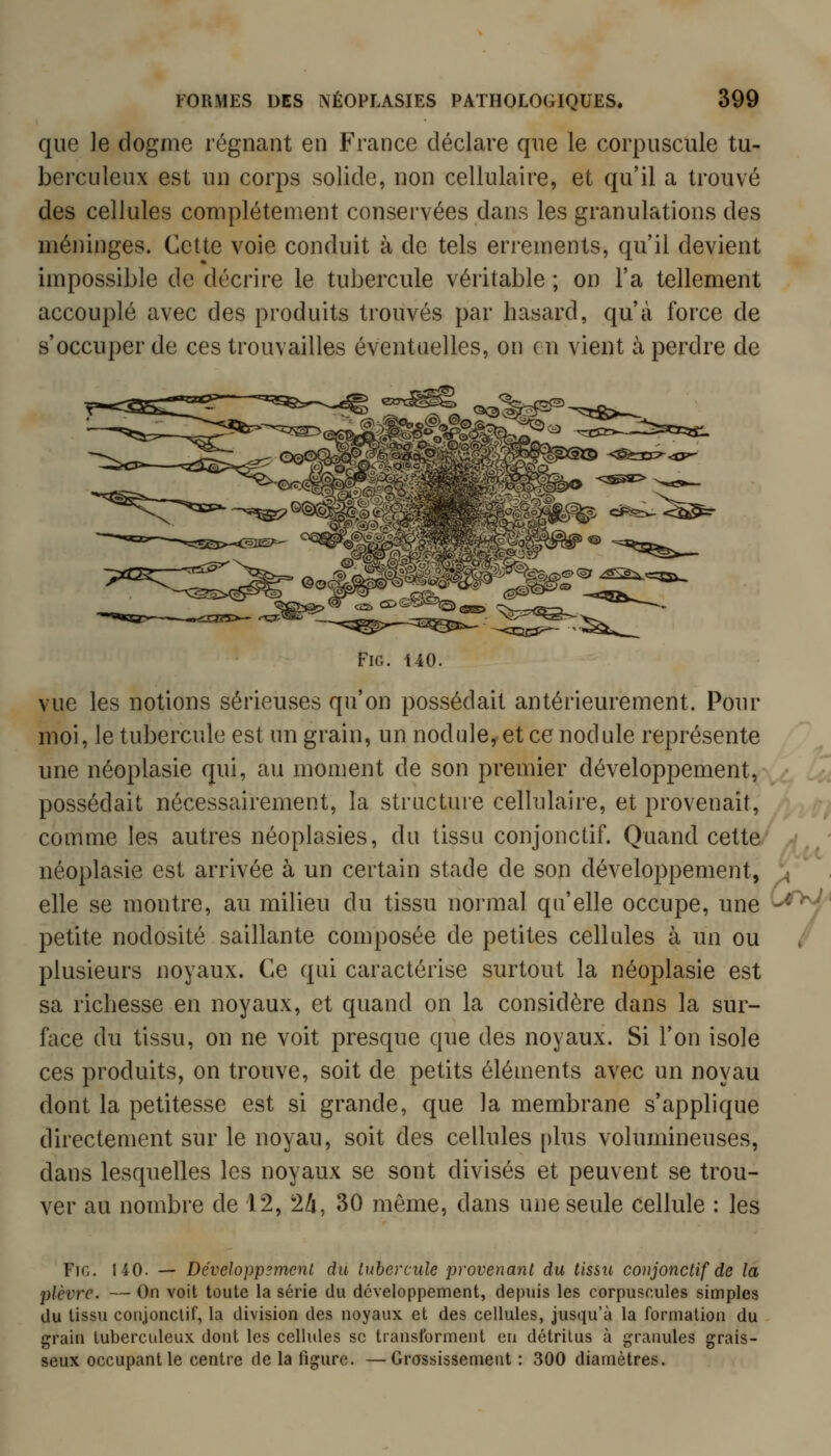 que le dogme régnant en France déclare que le corpuscule tu- berculeux est un corps solide, non cellulaire, et qu'il a trouvé des cellules complètement conservées dans les granulations des méninges. Cette voie conduit à de tels errements, qu'il devient impossible de décrire le tubercule véritable ; on l'a tellement accouplé avec des produits trouvés par hasard, qu'à force de s'occuper de ces trouvailles éventuelles, on en vient à perdre de FiG. 140. vue les notions sérieuses qu'on possédait antérieurement. Pour moi, le tubercule est un grain, un nodule, et ce nodule représente une néoplasie qui, au moment de son premier développement, possédait nécessairement, la structure cellulaire, et provenait, comme les autres néoplasies, du tissu conjonctif. Quand cette' //_• néoplasie est arrivée à un certain stade de son développement, ^ elle se montre, au milieu du tissu normal qu'elle occupe, une ^W^' petite nodosité saillante composée de petites cellules à un ou / plusieurs noyaux. Ce qui caractérise surtout la néoplasie est sa richesse en noyaux, et quand on la considère dans la sur- face du tissu, on ne voit presque que des noyaux. Si l'on isole ces produits, on trouve, soit de petits éléments avec un noyau dont la petitesse est si grande, que la membrane s'applique directement sur le noyau, soit des cellules [)lus volumineuses, dans lesquelles les noyaux se sont divisés et peuvent se trou- ver au nombre de 12, 24, 30 même, dans une seule cellule : les FiG. 140. — Développement du luhevcule provenant du tissu conjonctif de la plèvre, — On voit toute la série du développement, depuis les corpuscules simples du tissu conjonctif, la division des noyaux et des cellules, jusqu'à la formation du grain tuberculeux dont les celhtles se transforment en détritus à granules grais- seux occupant le centre de la figure. —Grossissement : 300 diamètres.