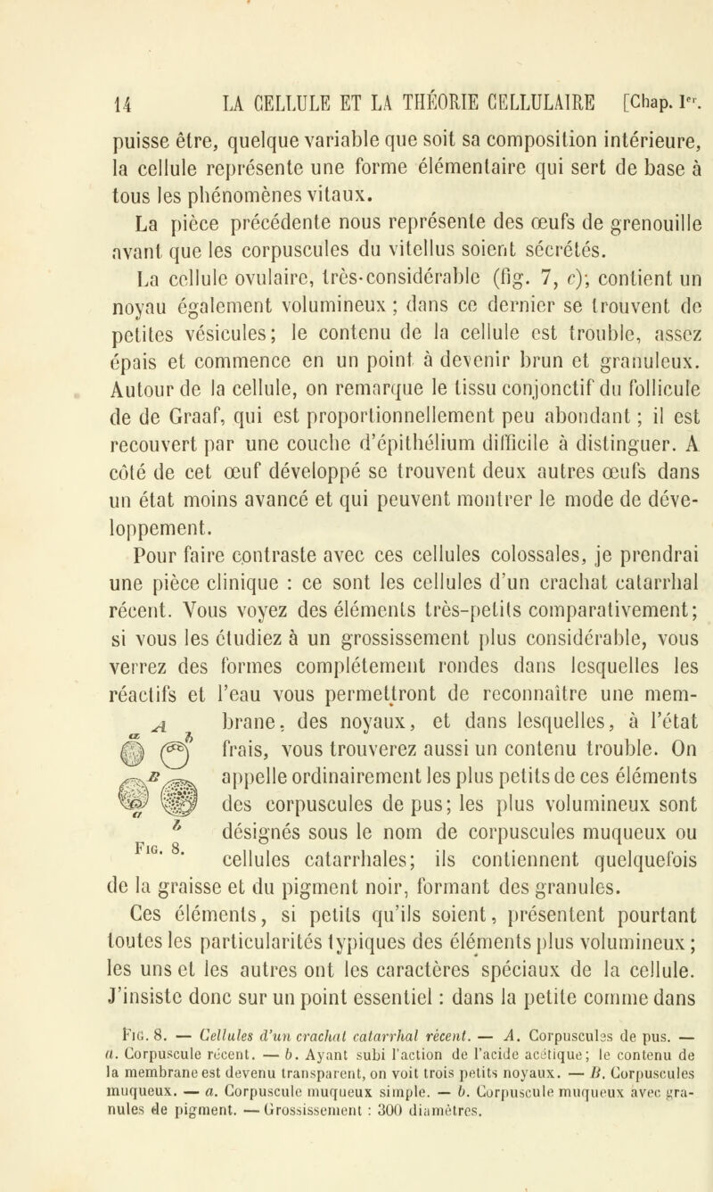 puisse être, quelque variable que soit sa composition intérieure, la cellule représente une forme élémentaire qui sert de base à tous les phénomènes vitaux. La pièce précédente nous représente des œufs de grenouille avant que les corpuscules du vitellus soient sécrétés. La cellule ovulaire, très-considérable (fig. 7, c); contient un noyau également volumineux ; dans ce dernier se trouvent de petites vésicules; le contenu de la cellule est trouble, assez épais et commence en un point à devenir brun et granuleux. Autour de la cellule, on remarque le tissu conjonctif du follicule de de Graaf, qui est proportionnellement peu abondant ; il est recouvert par une couche d'épithélium difficile à distinguer. A côté de cet œuf développé se trouvent deux autres œufs dans un état moins avancé et qui peuvent montrer le mode de déve- loppement. Pour faire contraste avec ces cellules colossales, je prendrai une pièce clinique : ce sont les cellules d'un crachat catarrhal récent. Vous voyez des éléments très-petits comparativement; si vous les étudiez à un grossissement plus considérable, vous verrez des formes complètement rondes dans lesquelles les réactifs et l'eau vous permettront de reconnaître une mem- ^i brane. des noyaux, et dans lesquelles, à l'état © (^) ^ra^Sj vous ^rouverez aussi un contenu trouble. On ~zj?^^ appelle ordinairement les plus petits de ces éléments ^§r ^P des corpuscules de pus; les plus volumineux sont 1 désignés sous le nom de corpuscules muqueux ou cellules catarrhales; ils contiennent quelquefois de la graisse et du pigment noir, formant des granules. Ces éléments, si petits qu'ils soient, présentent pourtant toutes les particularités lypiques des éléments plus volumineux ; les uns et les autres ont les caractères spéciaux de la cellule. J'insiste donc sur un point essentiel : dans la petite comme dans FiG. 8. — Cellules d'un crachat catarrhal récent. — A. Corpuscules de pus. — a. Corpuscule récent. — b. Ayant subi l'action de l'acide acétique; le contenu de la membrane est devenu transparent, on voit trois petits noyaux. — B. Corpuscules muqueux. — a. Corpuscule muqueux simple. — b. Corpuscule muqueux avec gra- nules de pigment. —Grossissement : 300 diamètres.