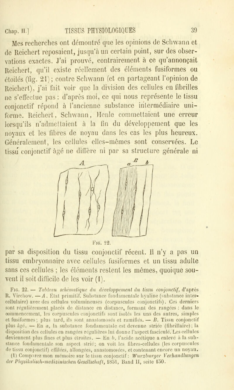Mes recherches ont démontre que les opinions de Schwann et de Reichert reposaient, jusqu'à un certain point, sur des obser- vations exactes. J'ai prouvé, contrairement à ce qu'annonçait Reichert, qu'il existe réellement des éléments fusiformes ou étoiles (fîg. 21) ; contre Schwann (et en partageant l'opinion de Reichert), j'ai fait voir que la division des cellules en fibrilles ne s'effectue pas : d'après moi, ce qui nous représente le tissu conjonctif répond à l'ancienne substance intermédiaire uni- forme. Reichert, Schwann, Henle commettaient une erreur lorsqu'ils n'admettaient à la fin du développement que les noyaux et les fibres de noyau dans les cas les plus heureux. Généralement, les cellules elles-mêmes sont conservées. Le tissu conjonctif âgé ne diffère ni par sa structure générale ni Fig. 22. par sa disposition du tissu conjonctif récent. Il n'y a pas un tissu embryonnaire avec cellules fusiformes et un tissu adulte sans ces cellules ; les éléments restent les mêmes, quoique sou- vent il soit difficile de les voir (1). Fig. 22. — Tableau schématique du développement du tissu conjonctif, d'après R. Virchow. —A. État primitif. Substance fondamentale hyaline (substance inter- cellulaire) avec des cellules volumineuses (corpuscules conjonctifs). Ces derniers sont régulièrement placés de distance en distance, formant des rangées : dans le commencement, les corpuscules conjonctifs sont isolés les uns des autres, simples et fusiformes ; plus tard, ils sont anastomosés et ramifiés. — B. Tissu conjonctif plus âgé. — En a, la substance fondamentale est devenue striée (fibrillaire) ; la disposition des cellules en rangées régulières lui donne l'aspect fascicule. Les cellules deviennent plus fines et plus étroites. — En b, l'acide acétique a enlevé à la sub- stance fondamentale son aspect strié; on voit les fibres-cellules (les corpuscules de tissu conjonctif) effilées, allongées, anastomosées, et contenant encore un noyau. (1) Comp irezmon mémoire sur le tissu conjonctif: Wurzburger Verhandlungen der Physikalisch-medizinischen Gesellschaft, 1851, Band II, seite 150.