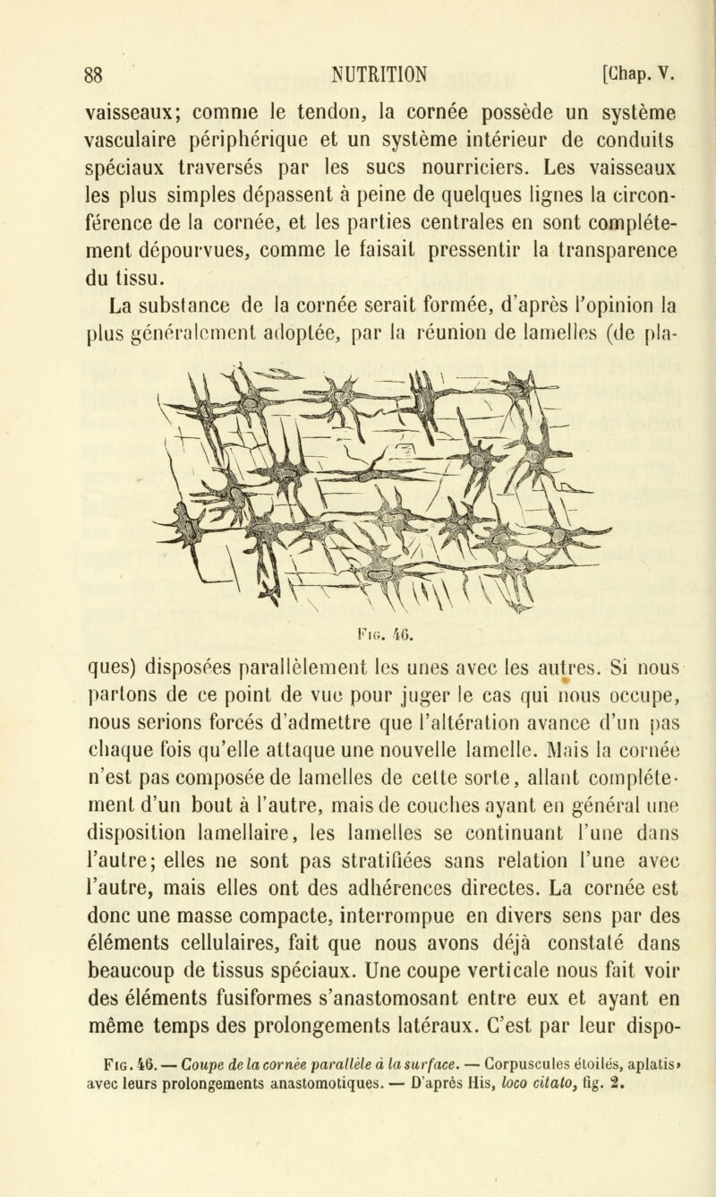 vaisseaux; comme le tendon, la cornée possède un système vasculaire périphérique et un système intérieur de conduits spéciaux traversés par les sucs nourriciers. Les vaisseaux les plus simples dépassent à peine de quelques lignes la circon- férence de la cornée, et les parties centrales en sont complète- ment dépourvues, comme le faisait pressentir la transparence du tissu. La substance de la cornée serait formée, d'après l'opinion la plus généralement adoptée, par la réunion de lamelles (de pla- Fig. 46. ques) disposées parallèlement les unes avec les autres. Si nous partons de ce point de vue pour juger le cas qui nous occupe, nous serions forcés d'admettre que l'altération avance d'un pas chaque fois qu'elle attaque une nouvelle lamelle. Mais la cornée n'est pas composée de lamelles de cette sorte, allant complète- ment d'un bout à l'autre, mais de couches ayant en général une disposition lamellaire, les lamelles se continuant l'une dans l'autre; elles ne sont pas stratifiées sans relation l'une avec l'autre, mais elles ont des adhérences directes. La cornée est donc une masse compacte, interrompue en divers sens par des éléments cellulaires, fait que nous avons déjà constaté dans beaucoup de tissus spéciaux. Une coupe verticale nous fait voir des éléments fusiformes s'anastomosant entre eux et ayant en même temps des prolongements latéraux. C'est par leur dispo- Fig. 46. — Coupe de la cornée parallèle à la surface. — Corpuscules étoiles, aplatis» avec leurs prolongements anastomotiques. — D'après His, loco citatot fig. 2.