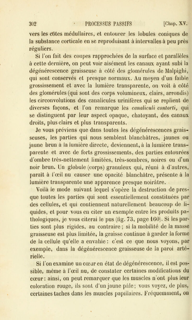 vers les Côtes médullaires, et entourer les lobules coniques de la substance corticale en se reproduisant à intervalles à peu près réguliers. Si l'on fait des coupes rapprochées de la surface et parallèles à cette dernière, on peut voir aisément les canaux ayant subi la dégénérescence graisseuse à côté des glomérules de Malpighi, qui sont conservés et presque normaux. Au moyen d'un faible grossissement et avec la lumière transparente, on voit à côté des glomérules (qui sont des corps volumineux, clairs, arrondis) les circonvolutions des canalicules urinifères qui se replient de diverses façons, et l'on remarque les canaliculi contorti, qui se distinguent par leur aspect opaque, chatoyant, des canaux droits, plus clairs et plus transparents. Je vous préviens que dans toutes les dégénérescences grais- seuses, les parties qui nous semblent blanchâtres, jaunes ou jaune brun à la lumière directe, deviennent, à la lumière trans- parente et avec de forts grossissements, des parties entourées d'ombre très-nettement limitées, très-sombres, noires ou d'un noir brun. Un globule (corps) granuleux qui, réuni à d'autres, parait à l'œil nu causer une opacité blanchâtre, présente à la lumière transparente une apparence presque noirâtre. Voilà le mode suivant lequel s'opère la destruction de pres- que toutes les parties qui sont essentiellement constituées par des cellules, et qui contiennent naturellement beaucoup de li- quides, et pour vous en citer un exemple entre les produits pa- thologiques, je vous citerai le pus (fig. 73, page 160). Si les par- ties sont plus rigides, au contraire ; si la mobilité de la masse graisseuse est plus limitée, la graisse continue à garder la forme de la cellule qu'elle a envahie : c'est ce que nous voyons, par exemple, dans la dégénérescence graisseuse de la paroi arté- rielle. Si l'on examine un cœur en état de dégénérescence, il est pos- sible, même à l'œil nu, de constater certaines modifications du cœur: ainsi, on peut remarquer que les muscles n'ont plus leur coloration rouge, ils sont d'un jaune pâle; vous voyez, de plus, certaines taches dans les muscles papiiiaires. Fréquemment, on