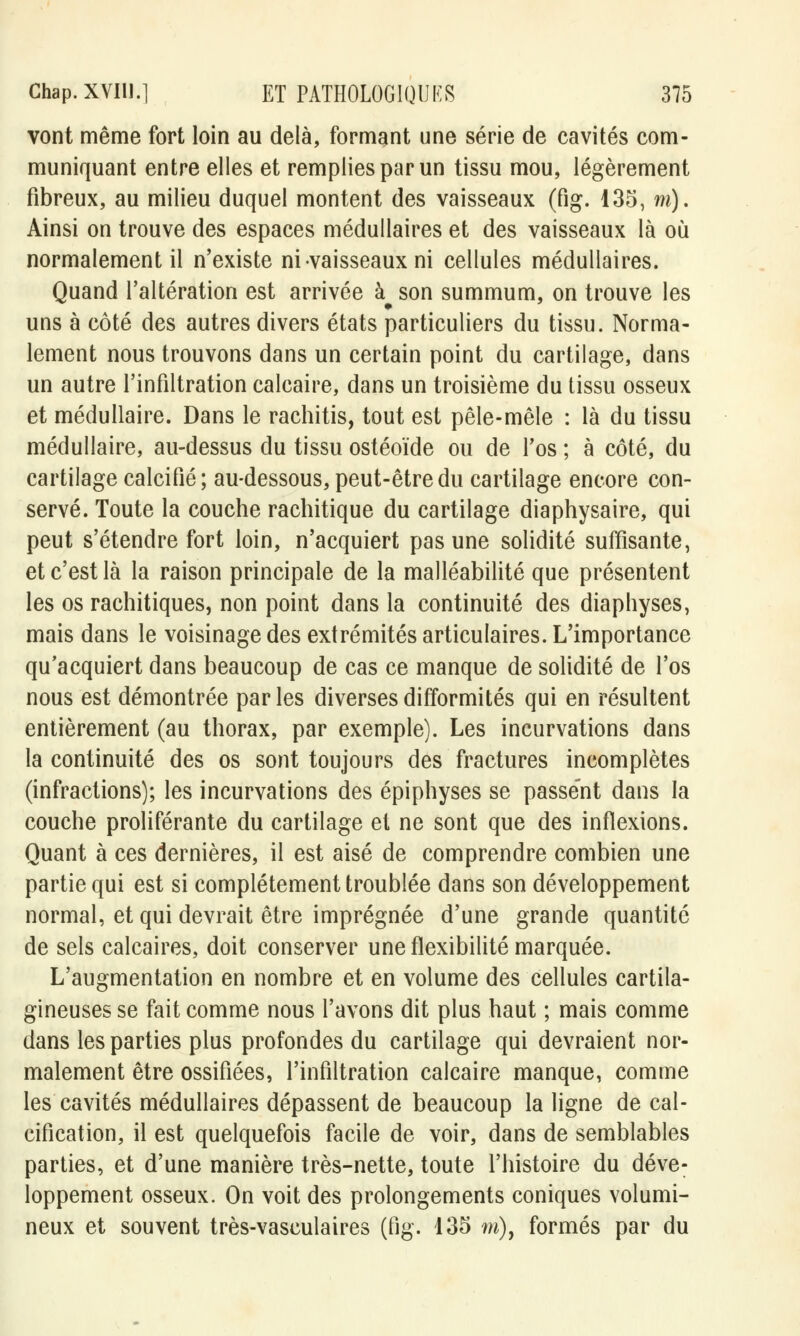 vont même fort loin au delà, formant une série de cavités com- muniquant entre elles et remplies par un tissu mou, légèrement fibreux, au milieu duquel montent des vaisseaux (fig. 135, m). Ainsi on trouve des espaces médullaires et des vaisseaux là où normalement il n'existe ni-vaisseaux ni cellules médullaires. Quand l'altération est arrivée à son summum, on trouve les uns à côté des autres divers états particuliers du tissu. Norma- lement nous trouvons dans un certain point du cartilage, dans un autre l'infiltration calcaire, dans un troisième du tissu osseux et médullaire. Dans le rachitis, tout est pêle-mêle : là du tissu médullaire, au-dessus du tissu ostéoïde ou de l'os ; à côté, du cartilage calcifié; au-dessous, peut-être du cartilage encore con- servé. Toute la couche rachitique du cartilage diaphysaire, qui peut s'étendre fort loin, n'acquiert pas une solidité suffisante, et c'est là la raison principale de la malléabilité que présentent les os rachitiques, non point dans la continuité des diaphyses, mais dans le voisinage des extrémités articulaires. L'importance qu'acquiert dans beaucoup de cas ce manque de solidité de l'os nous est démontrée par les diverses difformités qui en résultent entièrement (au thorax, par exemple). Les incurvations dans la continuité des os sont toujours des fractures incomplètes (infractions); les incurvations des épiphyses se passent dans la couche proliférante du cartilage et ne sont que des inflexions. Quant à ces dernières, il est aisé de comprendre combien une partie qui est si complètement troublée dans son développement normal, et qui devrait être imprégnée d'une grande quantité de sels calcaires, doit conserver une flexibilité marquée. L'augmentation en nombre et en volume des cellules cartila- gineuses se fait comme nous l'avons dit plus haut ; mais comme dans les parties plus profondes du cartilage qui devraient nor- malement être ossifiées, l'infiltration calcaire manque, comme les cavités médullaires dépassent de beaucoup la ligne de cal- cification, il est quelquefois facile de voir, dans de semblables parties, et d'une manière très-nette, toute l'histoire du déve- loppement osseux. On voit des prolongements coniques volumi- neux et souvent très-vasculaires (fig. 135 m), formés par du