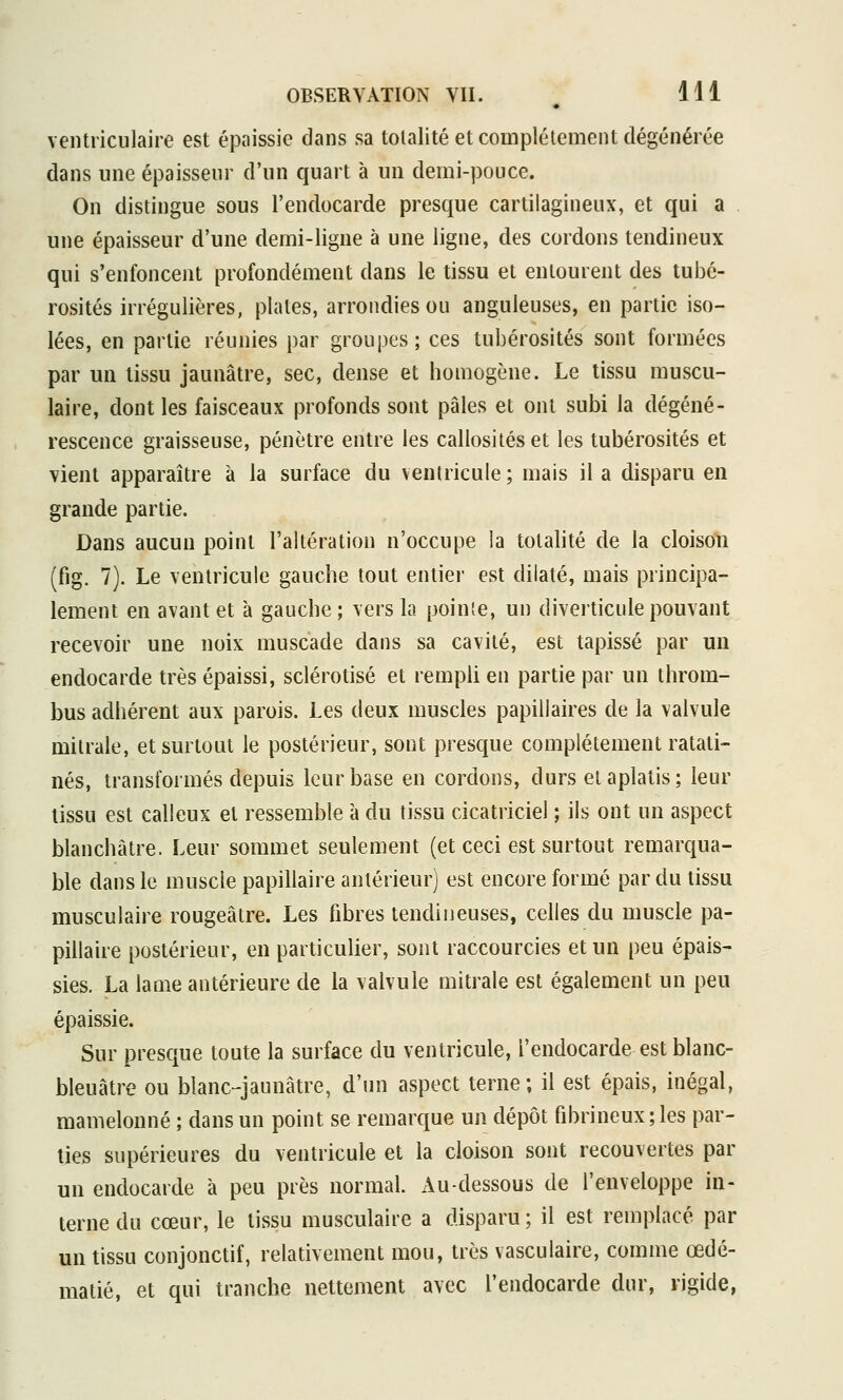 ventriculaire est épaissie dans sa totalité et complètement dégénérée dans une épaisseur d'un quart à un demi-pouce. On distingue sous l'endocarde presque cartilagineux, et qui a une épaisseur d'une demi-ligne à une ligne, des cordons tendineux qui s'enfoncent profondément dans le tissu et entourent des tubé- rosités irrégulières, plates, arrondies ou anguleuses, en partie iso- lées, en partie réunies par groupes; ces tubérosités sont formées par un tissu jaunâtre, sec, dense et bomogène. Le tissu muscu- laire, dont les faisceaux profonds sont pâles et ont subi la dégéné- rescence graisseuse, pénètre entre les callosités et les tubérosités et vient apparaître à la surface du ventricule; mais il a disparu en grande partie. Dans aucun point l'altération n'occupe la totalité de la cloison (fig. 7). Le ventricule gauche tout entier est dilaté, mais principa- lement en avant et à gauche; vers la pointe, un diverticulepouvant recevoir une noix muscade dans sa cavité, est tapissé par un endocarde très épaissi, sclérotisé et rempli en partie par un throm- bus adhérent aux parois. Les deux muscles papillaires de la valvule mitrale, et surtout le postérieur, sont presque complètement ratati- nés, transformés depuis leur base en cordons, durs ei aplatis; leur tissu est calleux et ressemble à du tissu cicatriciel ; ils ont un aspect blanchâtre. Leur sommet seulement (et ceci est surtout remarqua- ble dans le muscle papillaire antérieur) est encore formé par du tissu musculaire rougeâtre. Les fibres tendineuses, celles du muscle pa- pillaire postérieur, en particulier, sont raccourcies et un peu épais- sies. La lame antérieure de la valvule mitrale est également un peu épaissie. Sur presque toute la surface du ventricule, l'endocarde est blanc- bleuâtre ou blanc-jaunâtre, d'un aspect terne ; il est épais, inégal, mamelonné ; dans un point se remarque un dépôt fibrineux;les par- ties supérieures du ventricule et la cloison sont recouvertes par un endocarde à peu près normal. Au-dessous de l'enveloppe in- terne du cœur, le tissu musculaire a disparu ; il est remplacé par un tissu conjonctif, relativement mou, très vasculaire, comme œdé- matié, et qui tranche nettement avec l'endocarde dur, rigide,