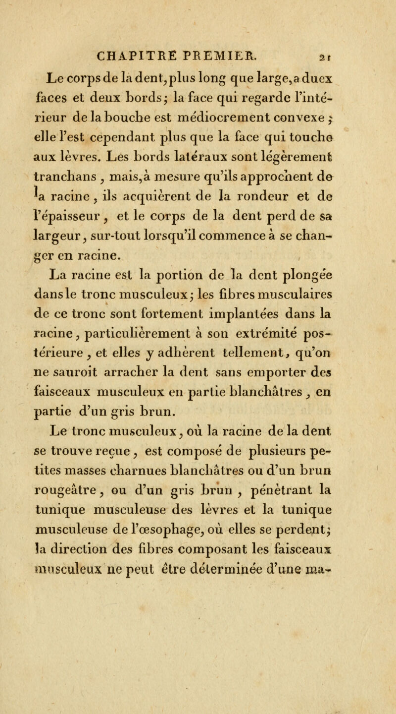 Le corps de la dent,plus long que Iarge,a duex faces et deux bords ; la face qui regarde l'inté- rieur de la bouche est médiocrement convexe j elle Test cependant plus que la face qui touche aux lèvres. Les bords latéraux sont légèrement tranchans , mais,à mesure qu'ils approchent de 'a racine , ils acquièrent de la rondeur et de l'épaisseur , et le corps de la dent perd de sa largeur ^ sur-tout lorsqu'il commence à se chan- ger en racine. La racine est la portion de la dent plongée dans le tronc musculeux; les fibres musculaires de ce tronc sont fortement implantées dans la racine y particulièrement à son extrémité pos- térieure y et elles y adhèrent tellement, qu'on ne sauroit arracher la dent sans emporter des faisceaux musculeux en partie blanchâtres ^ en partie d'un gris brun. Le tronc musculeux, où la racine de la dent se trouve reçue , est composé de plusieurs pe- tites masses charnues blanchâtres ou d'un brun rougeâtre, ou d'un gris brun y pénétrant la tunique musculeuse des lèvres et la tunique musculeuse de l'œsophage, où elles se perdent ; la direction des fibres composant les faisceaux musculeux ne peut être déterminée d'une ma-