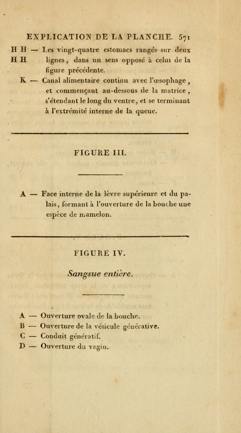 H H — Les vingt-quatre estomacs rangés sur deux H H lignes 7 dans un sens opposé à celui de la figure précédente. K — Canal alimentaire continu avec l'œsophage et commençant au-dessous de la matrice , s'étendant le long du ventre, et se terminant à l'extrémité interne de la queue. FIGURE III, A — Face interne de la lèvre supérieure et du pa- lais ? formant a l'ouverture de la bouche une espèce de mamelon. FIGURE IV. Sangsue entière, A — Ouverture ovale de la bouche. B — Ouverture de la vésicule générative. C — Conduit génératif. D — Ouverture du vagin.