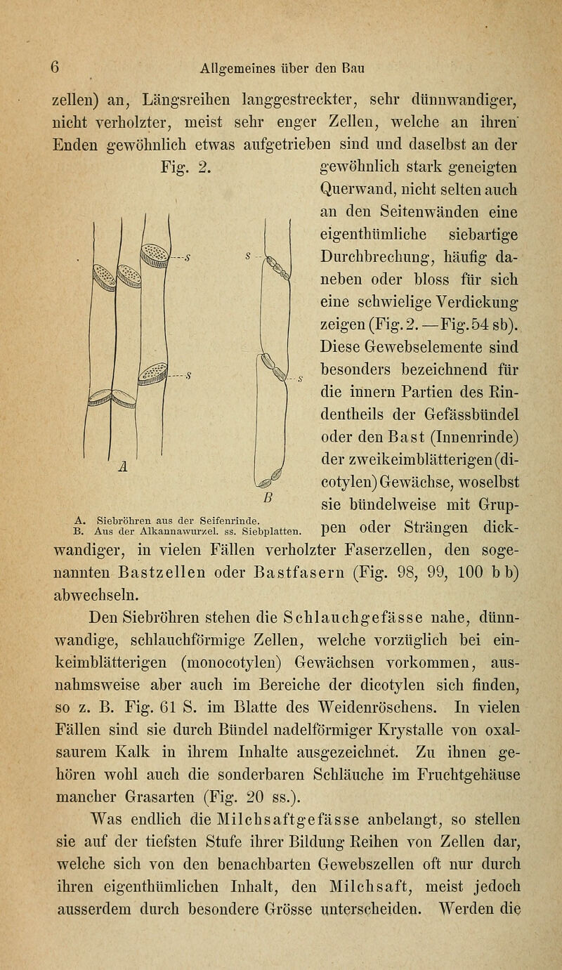 Zellen) an, Längsreihen langgestreckter, sehr dünnwandiger, nicht verholzter, meist sehr enger Zellen, welche an ihren Enden gewöhnlich etwas aufgetrieben sind und daselbst an der Fig. 2. gewöhnlich stark geneigten Querwand, nicht selten auch an den Seitenwänden eine eigenthümliche siebartige Durchbrechung, häufig da- neben oder bloss für sich eine schwielige Verdickung zeigen (Fig. 2. —Fig. 54 sb). Diese Gewebselemente sind besonders bezeichnend für die Innern Partien des Rin- dentheils der Gefässbündel oder den Bast (Innenrinde) der zweikeimblätterigen (di- cotylen) Gewächse, woselbst sie bündelweise mit Grup- pen oder Strängen dick- wandiger, in vielen Fällen verholzter Faserzellen, den soge- nannten Bastzellen oder Bastfasern (Fig. 98, 99, 100 b b) abwechseln. Den Siebröhren stehen die Schlauchgefässe nahe, dünn- wandige, schlauchförmige Zellen, welche vorzüglich bei ein- keimblätterigen (monocotylen) Gewächsen vorkommen, aus- nahmsweise aber auch im Bereiche der dicotylen sich finden, so z. B. Fig. 61 S. im Blatte des Weidenröschens. In vielen Fällen sind sie durch Bündel nadeiförmiger Krystalle von oxal- saurem Kalk in ihrem Inhalte ausgezeichnet. Zu ihnen ge- hören wohl auch die sonderbaren Schläuche im Fruchtgehäuse mancher Grasarten (Fig. 20 ss.). Was endlich die Milchsaftgefässe anbelangt, so stellen sie auf der tiefsten Stufe ihrer Bildung Reihen von Zellen dar, welche sich von den benachbarten Gewebszellen oft nur durch ihren eigenthümlichen Inhalt, den Milchsaft, meist jedoch ausserdem durch besondere Grösse unterscheiden. Werden die A. Siebrölireii aus der Seifenrinde. B. Aus der Alkannawur/.el. ss. Siebplatten.