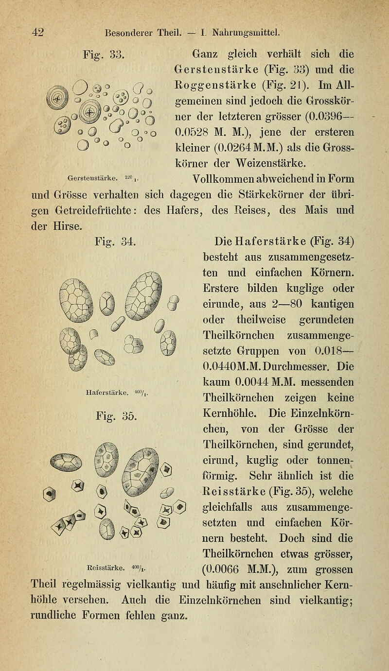 \QC^r Q  ^ O °o o o o Fig-. 33. Ganz gleich verhält sich die Gerstenstärke (Fig. 33) und die O©^ Qo Roggenstärke (Fig. 21). Im All- gemeinen sind jedoch die Grosskör- ner der letzteren grösser (0.0396— 0.0528 M. M.), jene der ersteren kleiner (0.0264 M.M.) als die Gross- körner der Weizenstärke. Geretenstäike. 2™,. VollkommenabweichendinForm und Grösse verhalten sich dagegen die Stärkekörner der übri- gen Getreidefrüchte: des Hafers, des Reises, des Mais und der Hirse. Fig. 34. Die Haferstärke (Fig. 34) besteht aus zusammengesetz- ten und einfachen Körnern. Erstere bilden kuglige oder eirunde, aus 2—80 kantigen oder theilweise gerundeten Theilkörnchen zusammenge- setzte Gruppen von 0.018— 0.0440M.M.Durchmesser. Die kaum 0.0044 M.M. messenden Theilkörnchen zeigen keine Kernhöhle. Die Einzelnkörn- chen, von der Grösse der Theilkörnchen, sind gerundet, eirund, kuglig oder tonnen- förmig. Sehr ähnlich ist die Reisstärke (Fig. 35), welche gleichfalls aus zusammenge- setzten und einfachen Kör- nern besteht. Doch sind die Theilkörnchen etwas grösser, Reisstärke. ^»A. (0.0066 M.M.), zum grossen Theil regelmässig vielkantig und häufig mit ansehnlicher Kern- höhle versehen. Auch die Einzelnkörnchen sind vielkantig; rundliche Formen fehlen ganz. Hafers tärke.