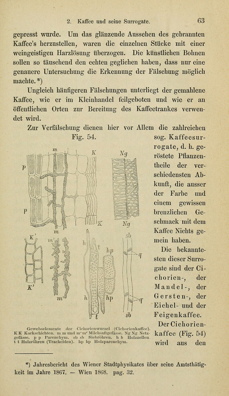 Fig. 54. gepresst wurde. Um das glänzende Aussehen des gebrannten Kaffee's herzustellen, waren die einzelnen Stücke mit einer weingeistigen Harzlösung tiberzogen. Die künstlichen Bohnen sollen so täuschend den echten geglichen haben, dass nur eine genauere Untersuchung die Erkennung der Fälschung möglich machte. *) Ungleich häufigeren Fälschungen unterliegt der gemahlene Kaffee, wie er im Kleinhandel feilgeboten und wie er an öffentlichen Orten zur Bereitung des Kaffeetrankes verwen- det wird. Zur Verfälschung dienen hier vor Allem die zahlreichen sog. Kaffeesur- rogate, d. h. ge- röstete Pflanzen- theile der ver- schiedensten Ab- kunft, die ausser der Farbe und einem gewissen brenzlichen Ge- schmack mit dem Kaffee Nichts ge- mein haben. Die bekannte- sten dieser Surro- gate sind der Ci- chorien-, der Mandel-, der Gersten-, der Eichel- und der Feigenkaffee. DerCichorien- Gewebselemente der Cichorien-tnu'zel (Cichorienkaifee). KK Korksctiicliteii. m m und ni'm'Milchsaftgefässe. Ng Ng Netz- kaffCC CFiff. 54^ gefässe. p p Parenehym. sb sb Siebröhren, h h Holzzellen, x, o* / t t Holzröhren (Tracbeiden). hp bp Holzparencbym. wird aUS dcU *) Jahresbericht des Wiener Stadtphysikates über seine Amtsthätig- keit im Jahre 1867. — Wien 1868. pag. 32.